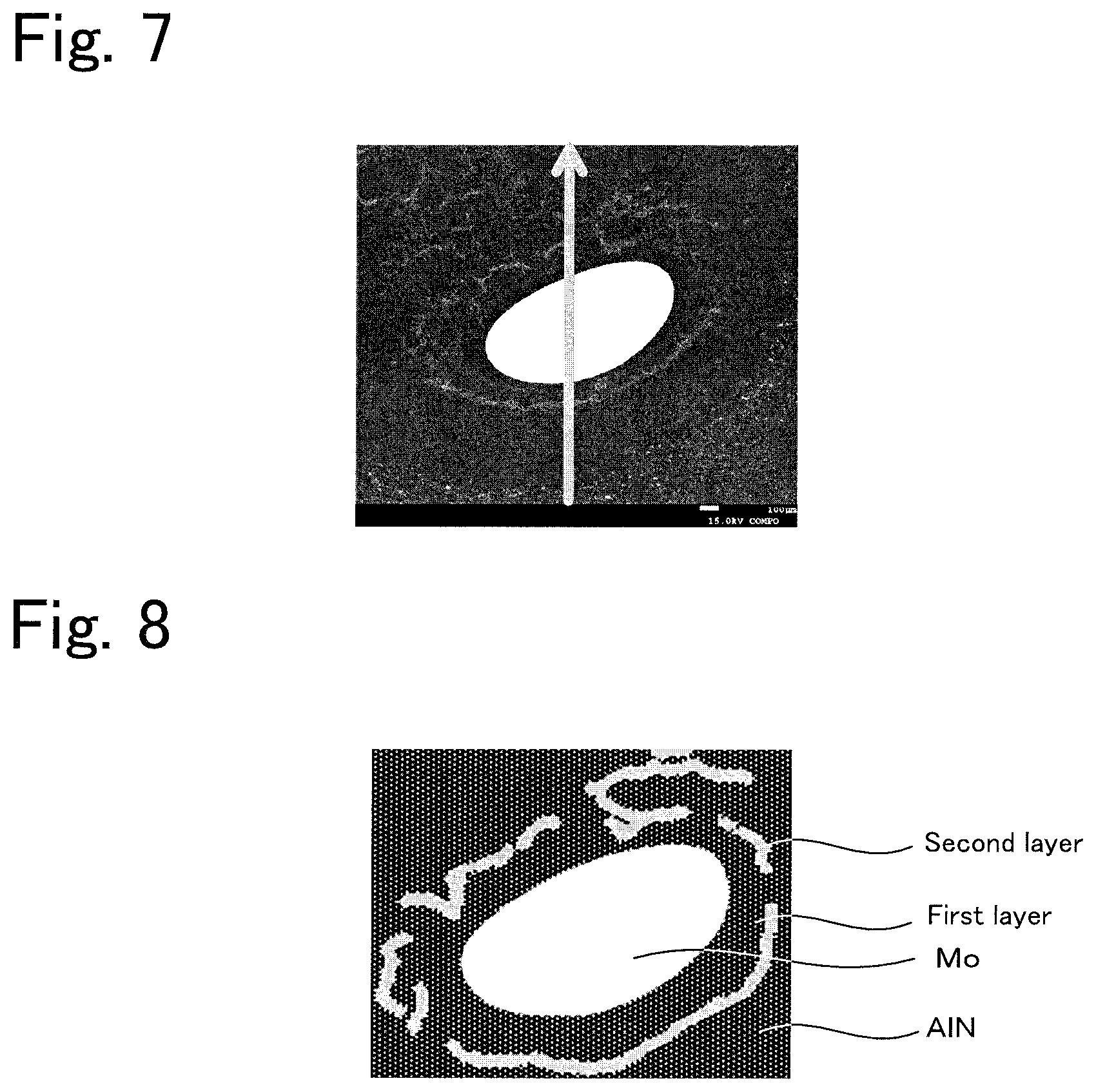 Patent US12588454 Figure 6 – AlN ceramic substrate and heater for semiconductor manufacturing apparatus