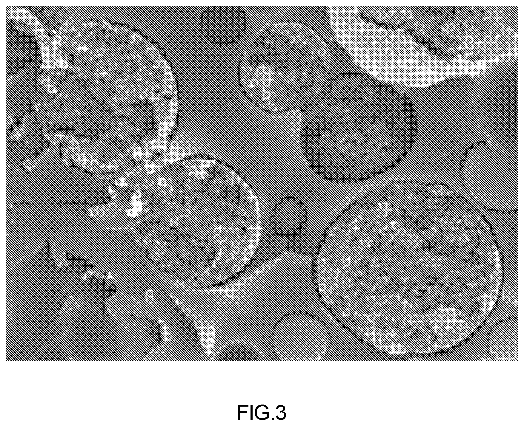 Patent US12588548 Figure 3 – Resin composition for semiconductor sealing, underfill material, mold resin, and semiconductor package