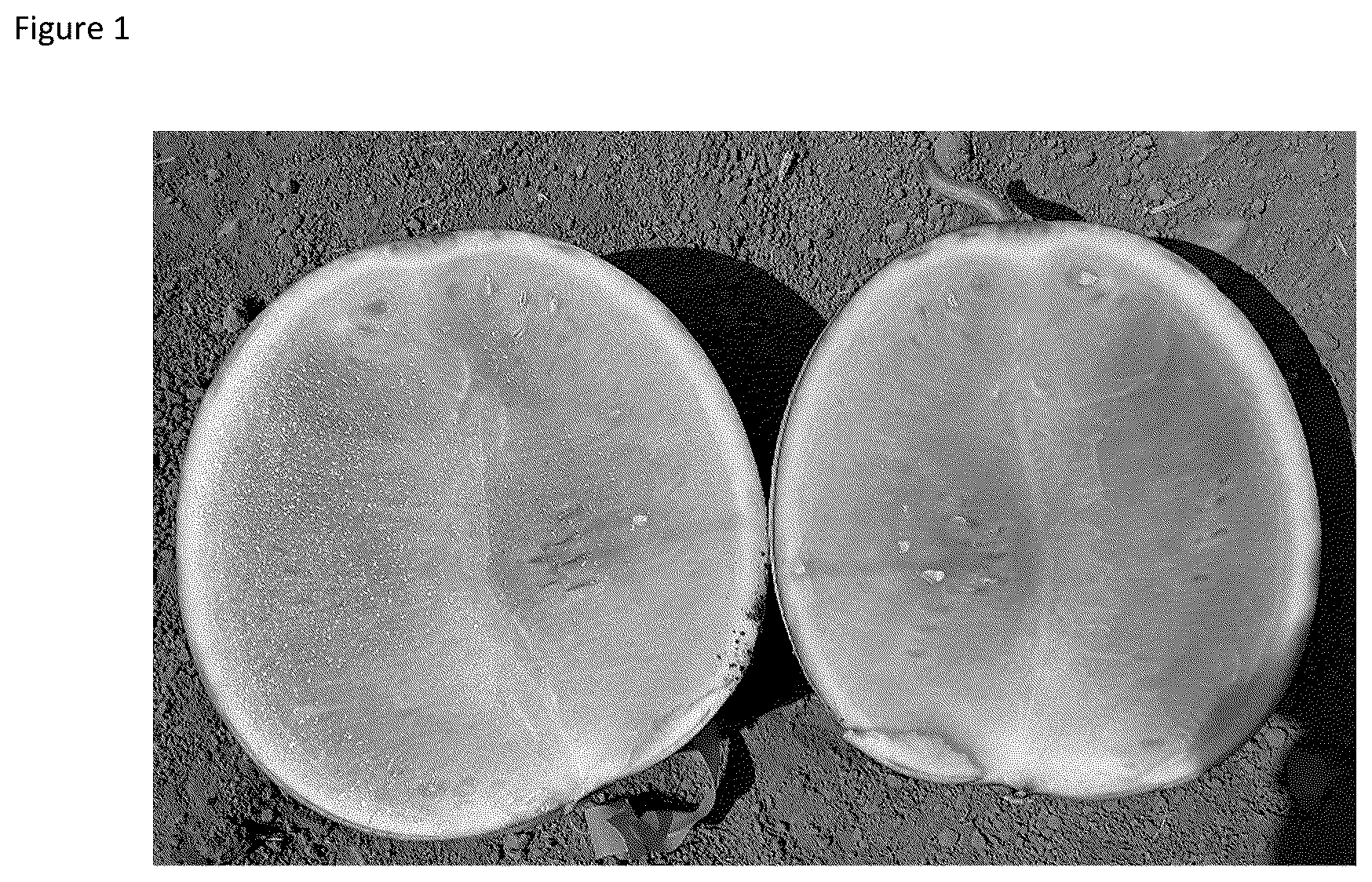 Patent US12588612 — Parthenocarpic watermelon plants — Figure 1