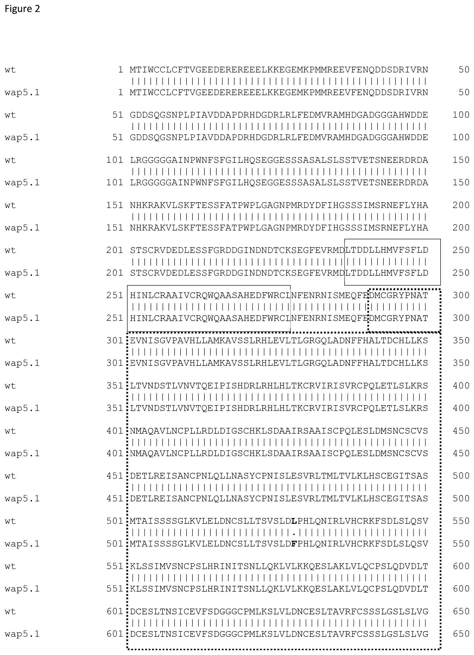Patent US12588612 Figure 2 – Parthenocarpic watermelon plants