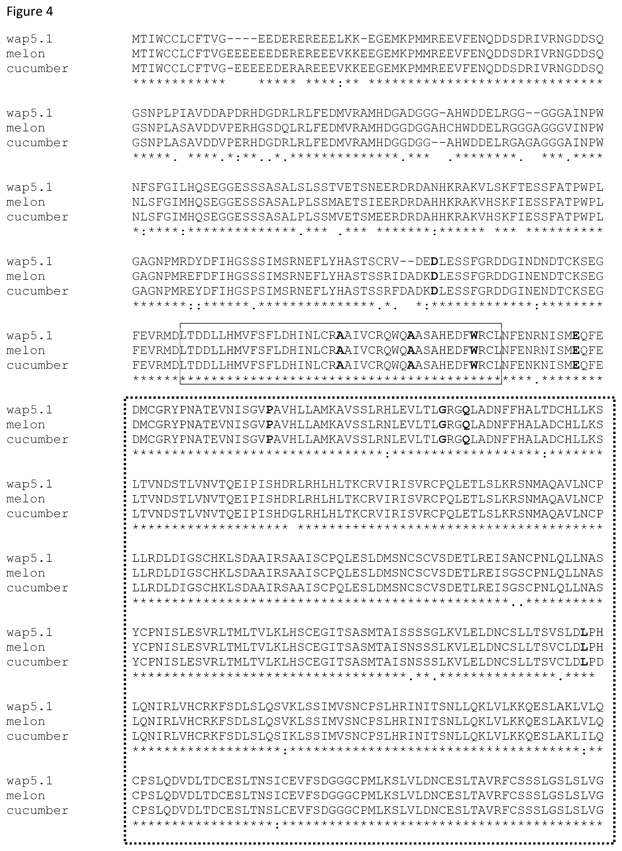 Patent US12588612 Figure 6 – Parthenocarpic watermelon plants