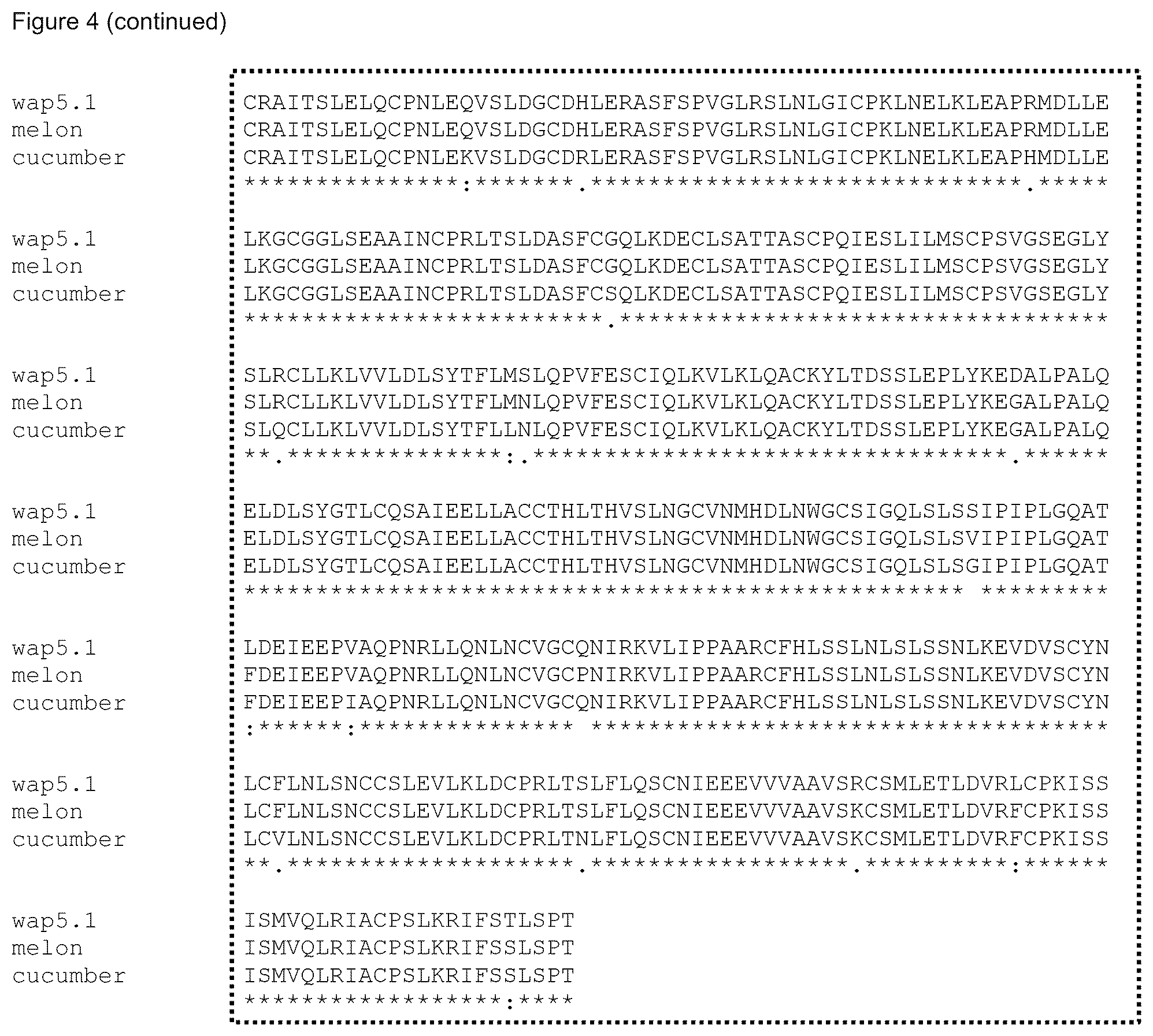 Patent US12588612 Figure 7 – Parthenocarpic watermelon plants
