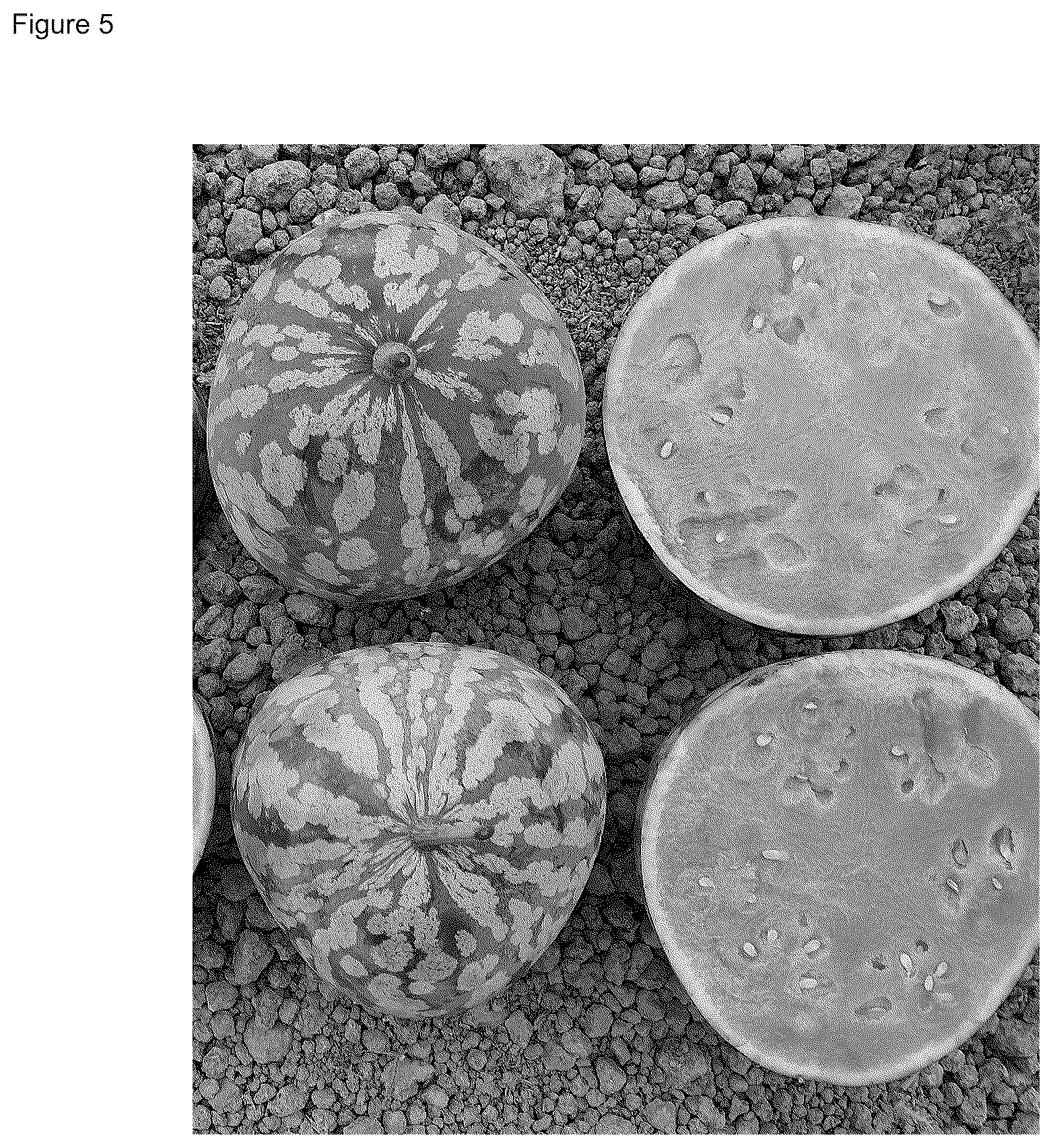 Patent US12588612 Figure 8 – Parthenocarpic watermelon plants
