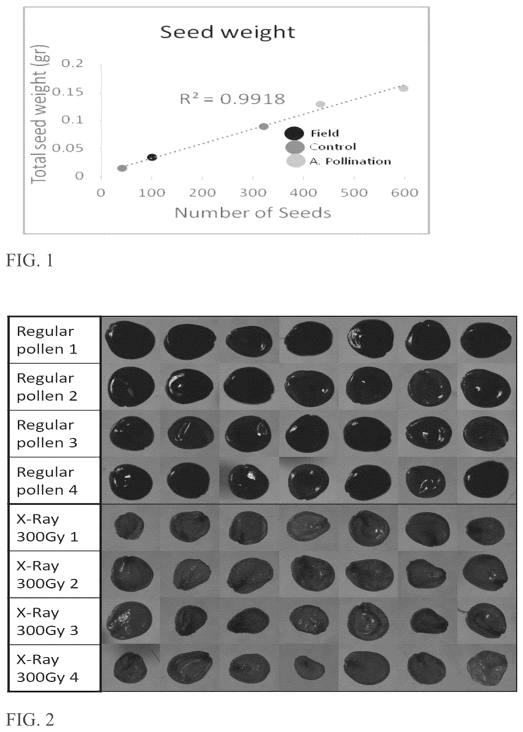 Patent US12588681 Figure 1 – Compositions, kits and methods for weed control