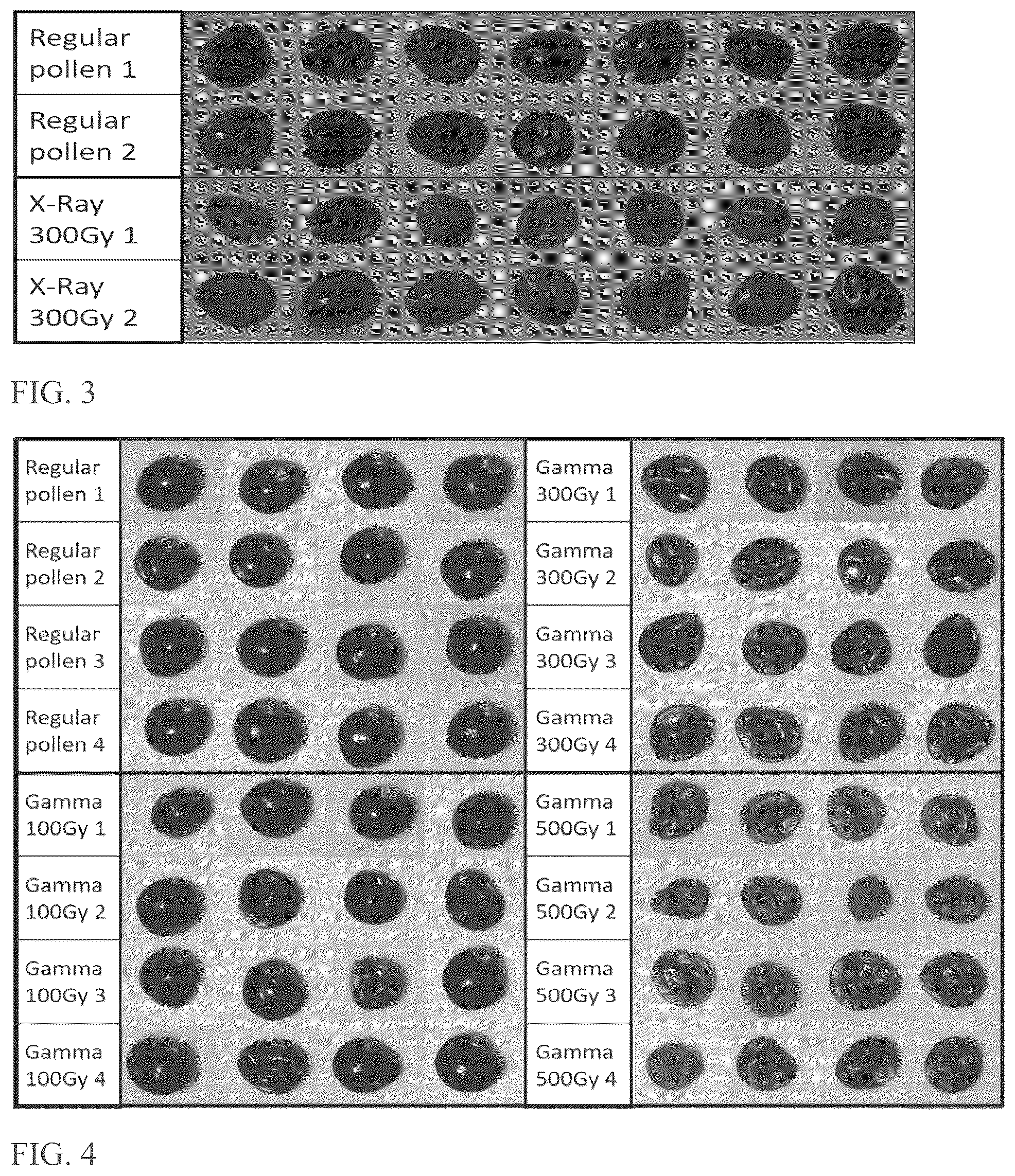 Patent US12588681 Figure 2 – Compositions, kits and methods for weed control