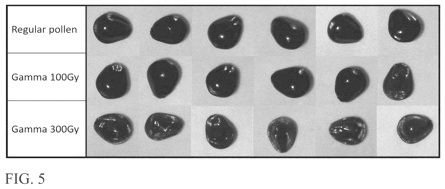 Patent US12588681 Figure 3 – Compositions, kits and methods for weed control