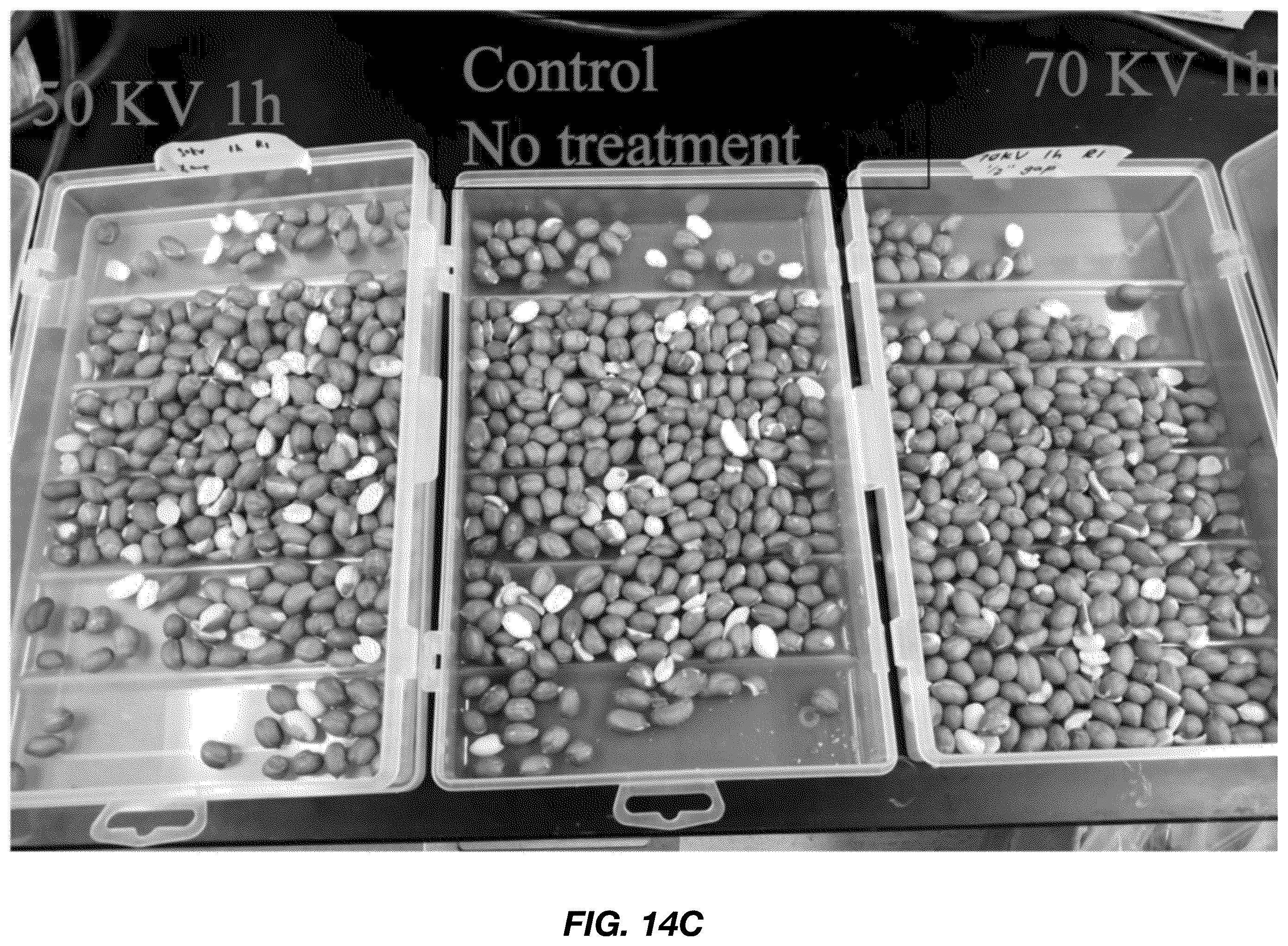 Patent US12588683 Figure 20 – Systems and methods for reactive gas-based product treatment
