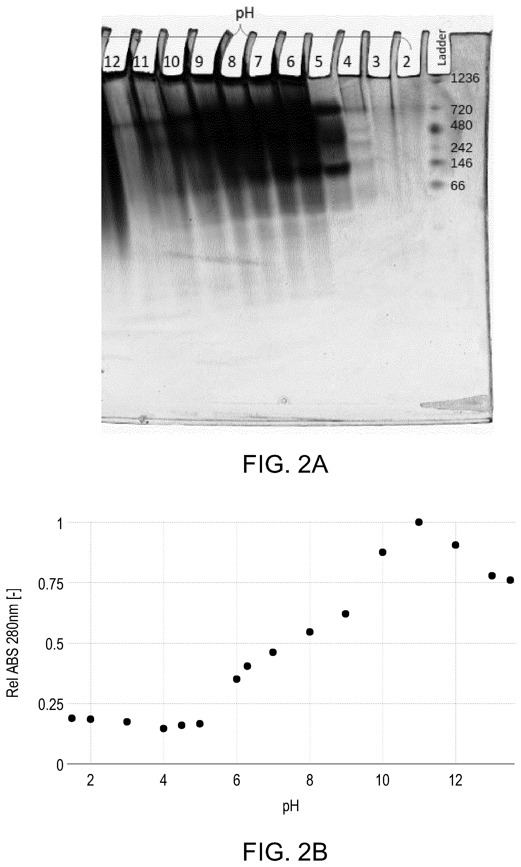 Patent US12588687 Figure 3 – Microbial cell product, method for obtaining said microbial cell product and use of said microbial cell product