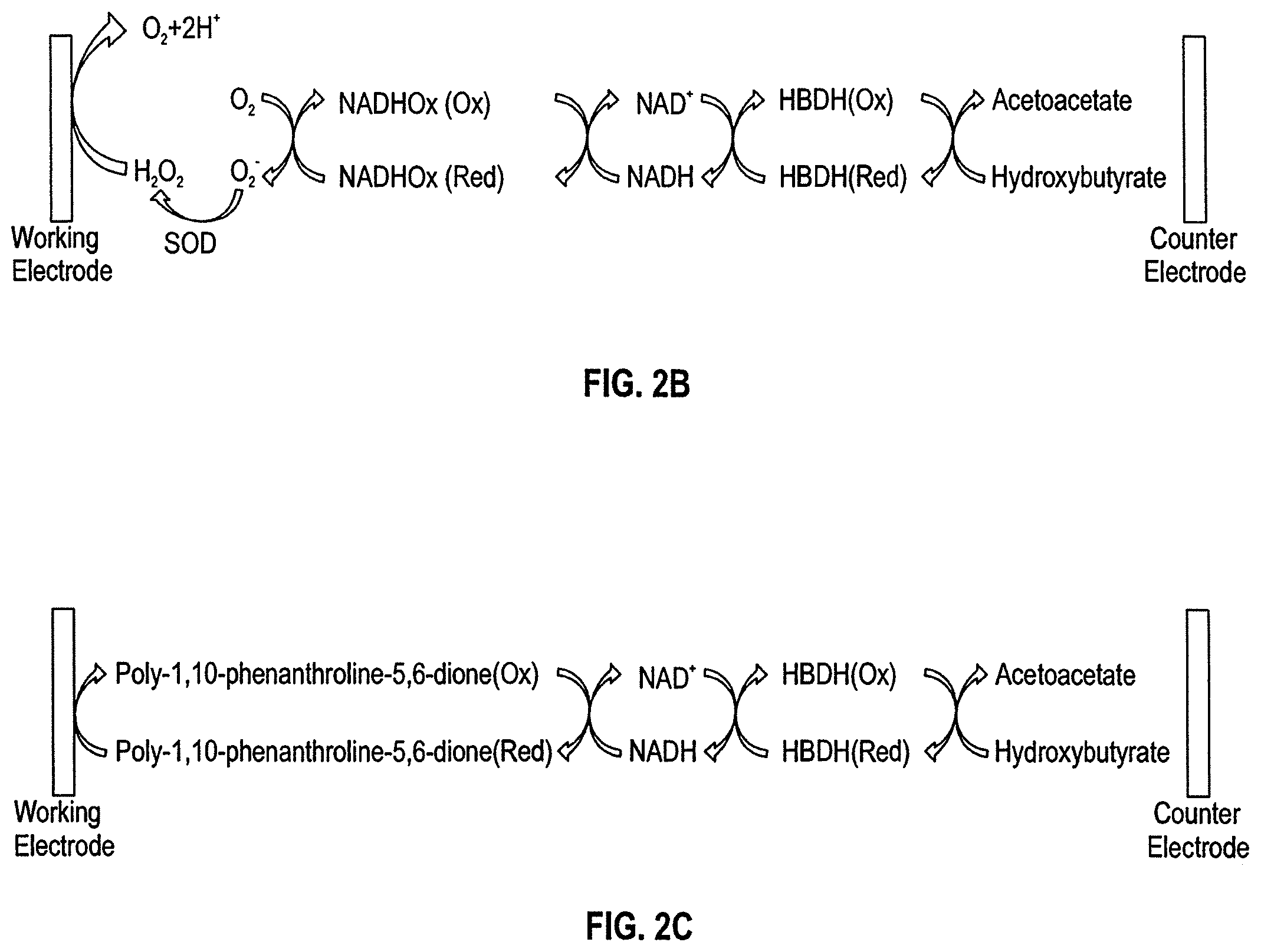Patent US12588844 Figure 2 – Analyte sensors and sensing methods featuring dual detection of glucose and ketones
