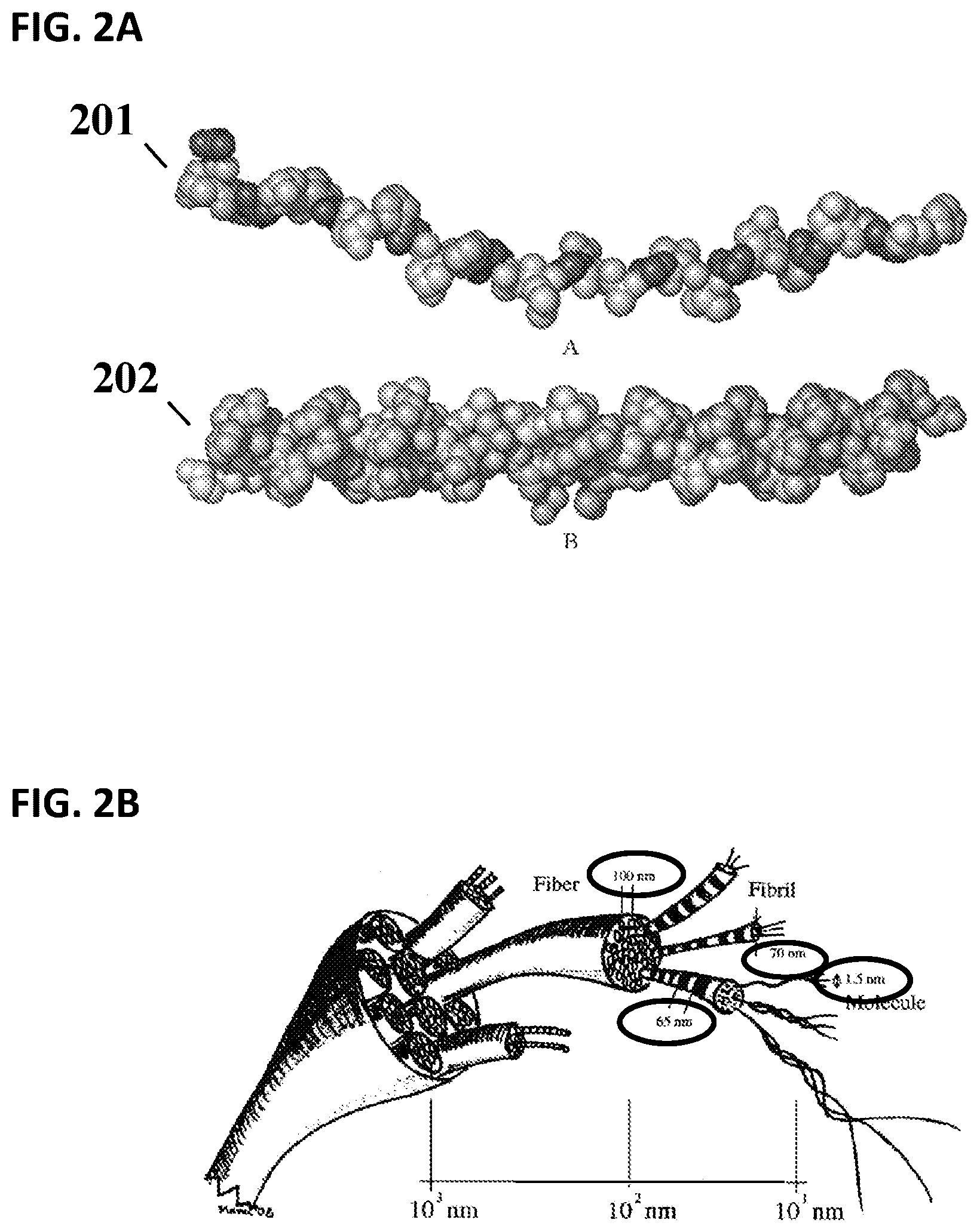 Patent US12588883 Figure 2 – X-ray system and method for tissue structural analysis and imaging