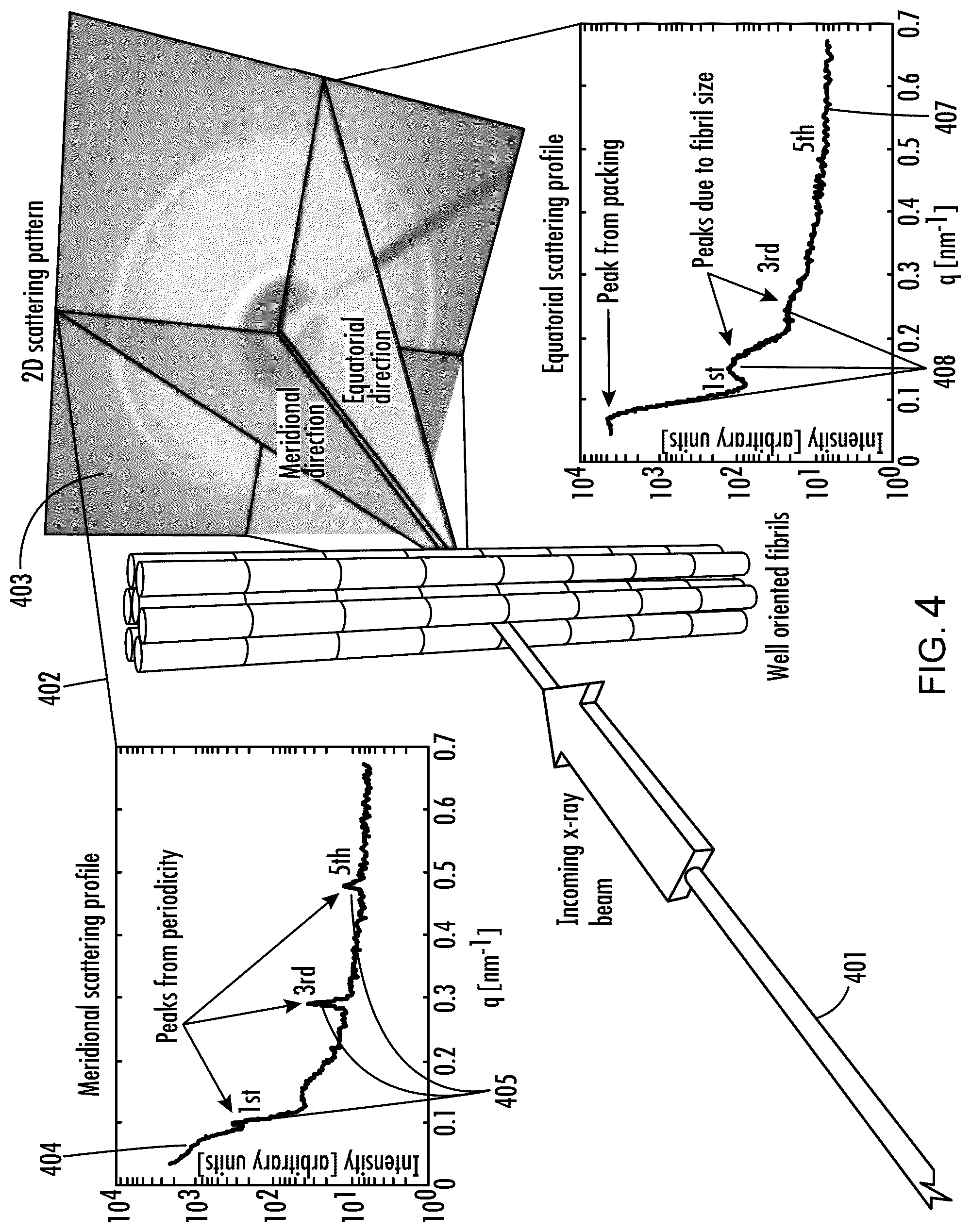 Patent US12588883 Figure 4 – X-ray system and method for tissue structural analysis and imaging