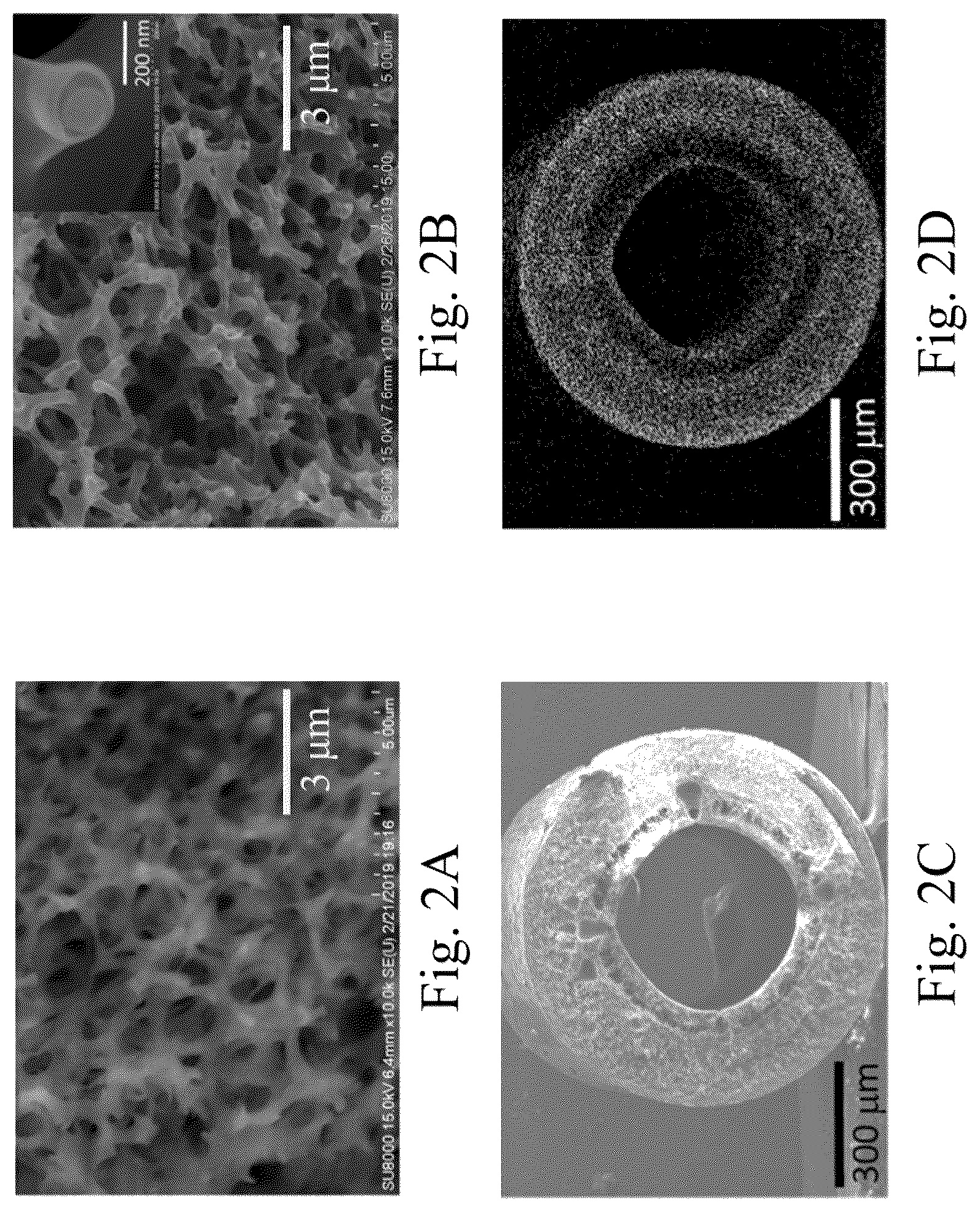 Patent US12590000 Figure 2 – Porous carbon composite material and manufacturing method thereof