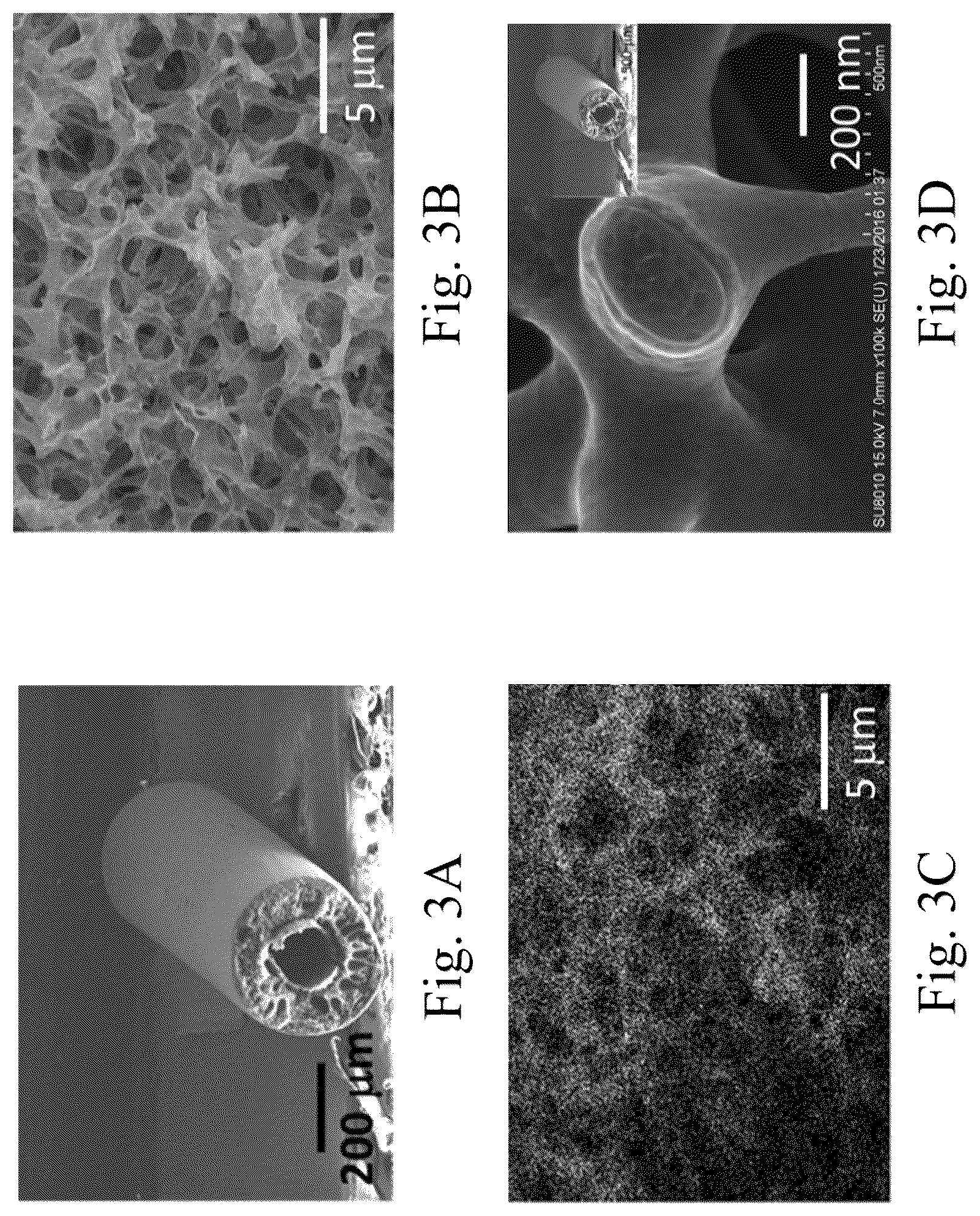 Patent US12590000 Figure 3 – Porous carbon composite material and manufacturing method thereof