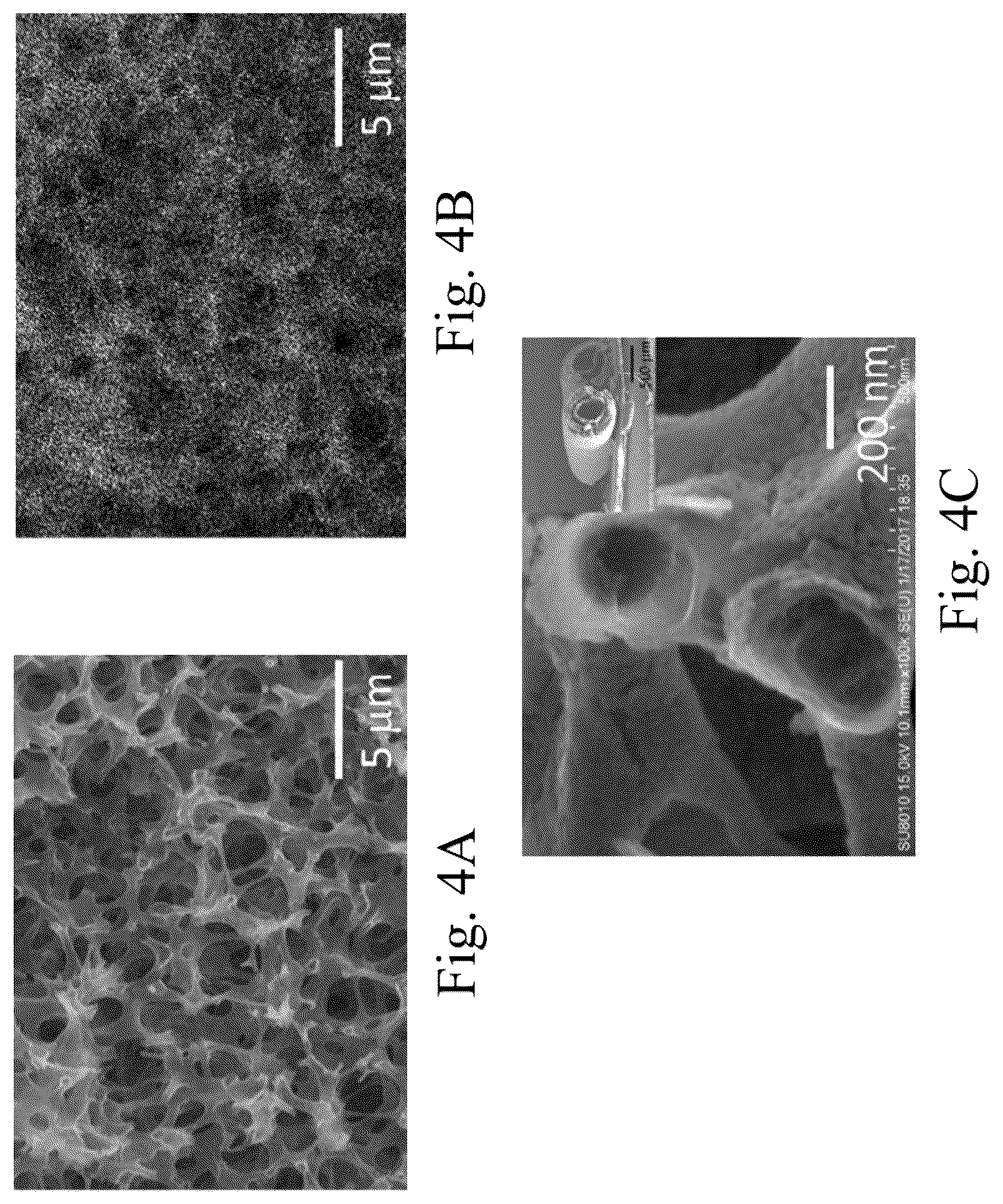 Patent US12590000 Figure 4 – Porous carbon composite material and manufacturing method thereof
