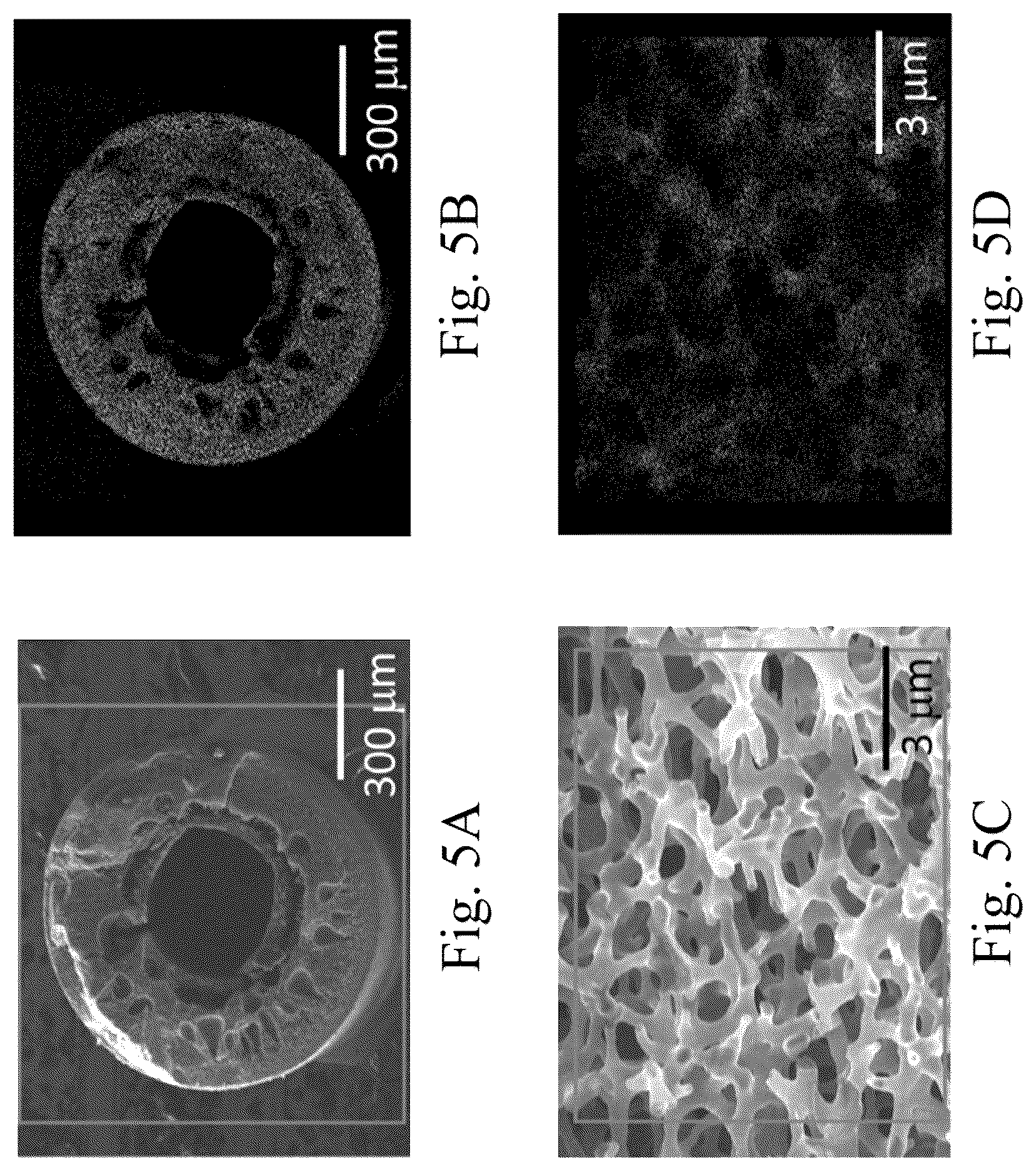 Patent US12590000 Figure 5 – Porous carbon composite material and manufacturing method thereof