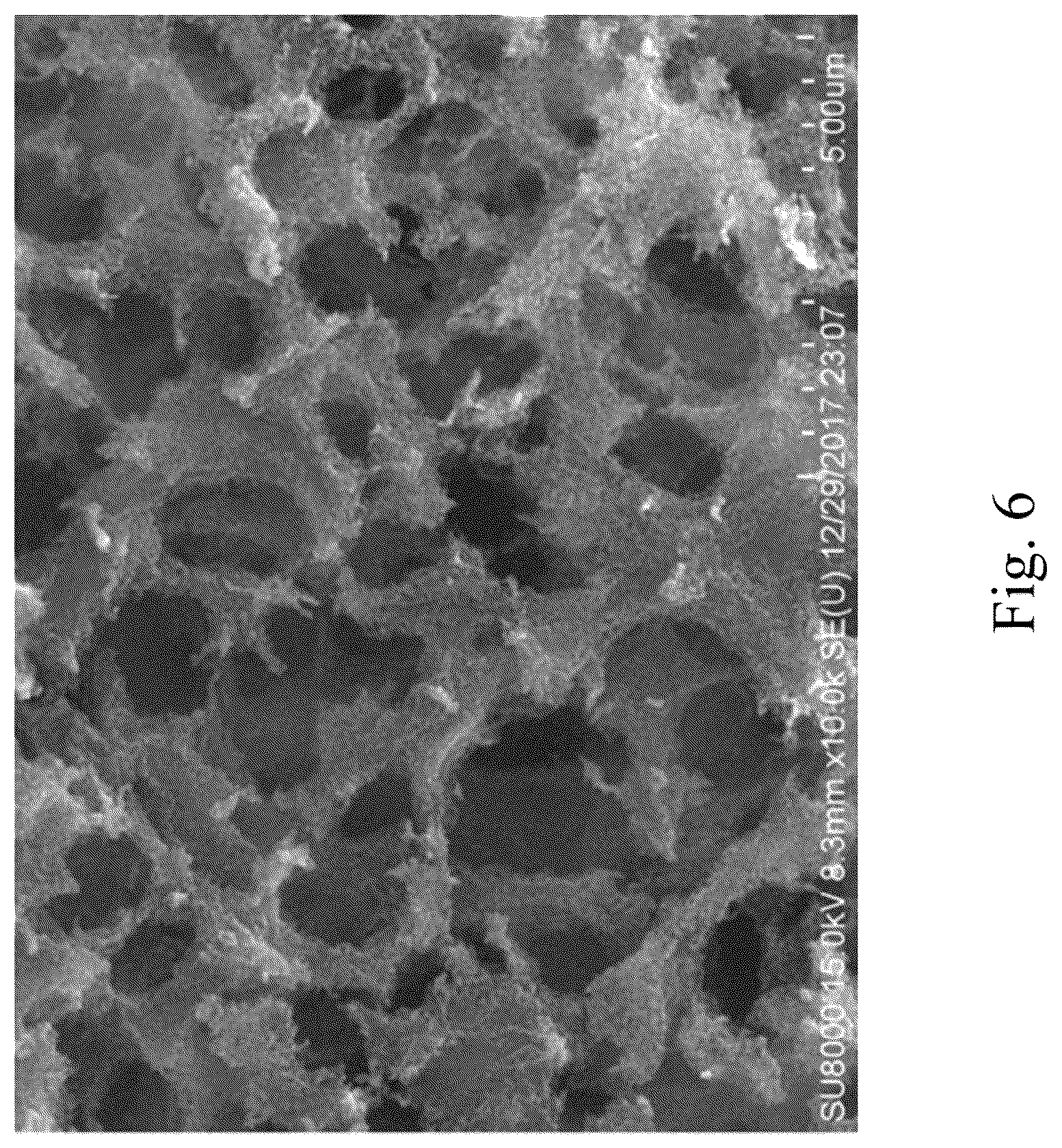 Patent US12590000 Figure 6 – Porous carbon composite material and manufacturing method thereof