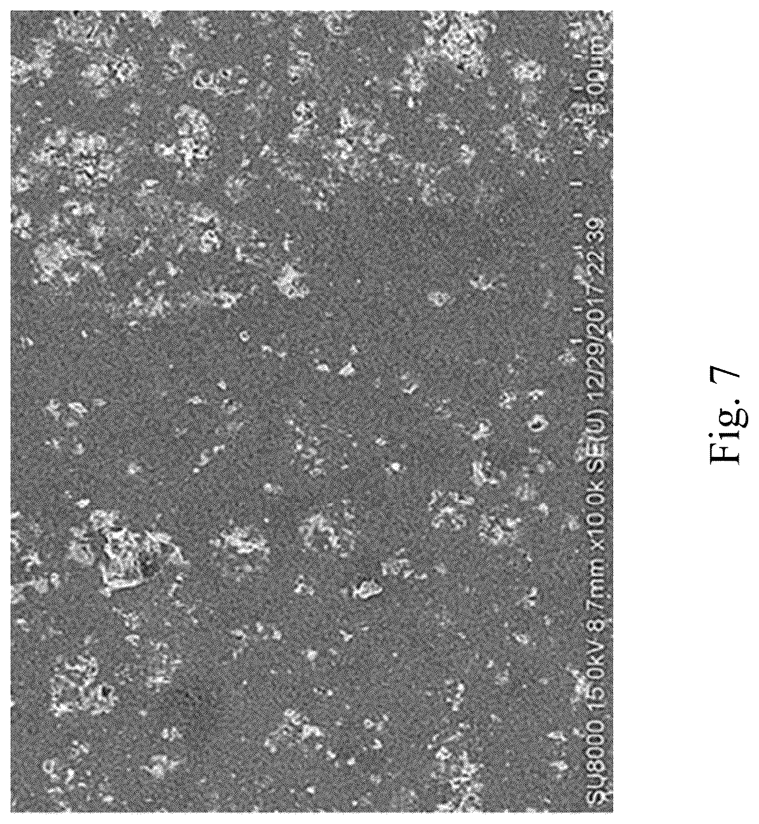 Patent US12590000 Figure 7 – Porous carbon composite material and manufacturing method thereof
