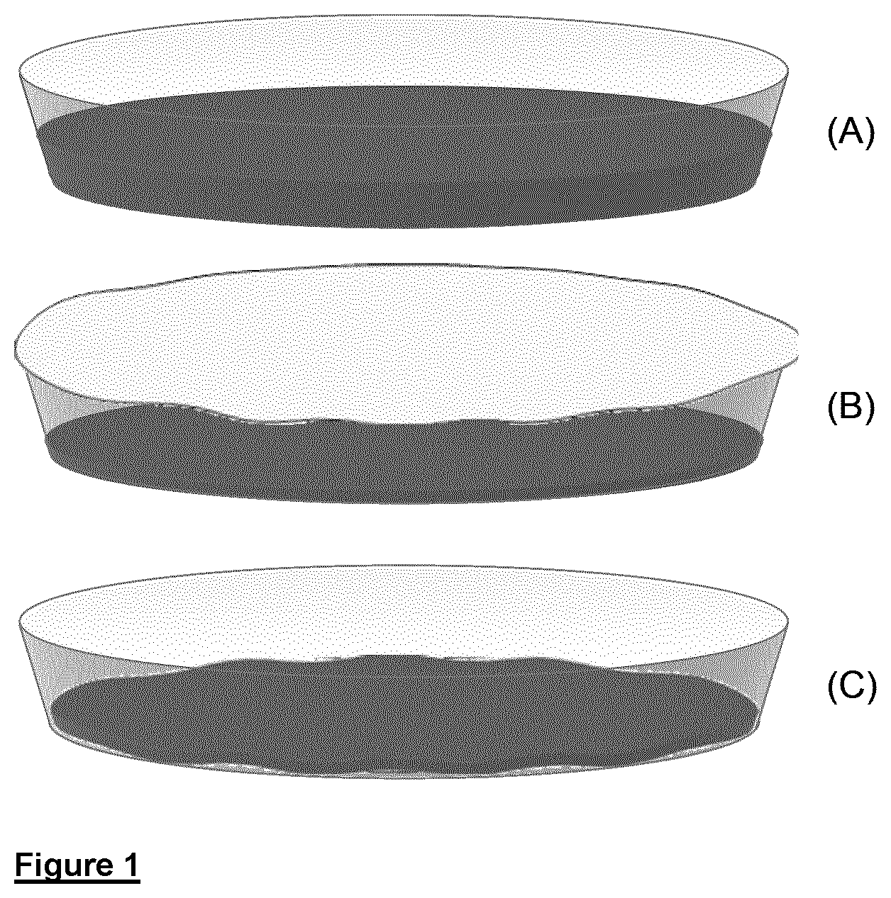 Patent US12590003 — Graphene oxide material and method for the production thereof — Figure 1