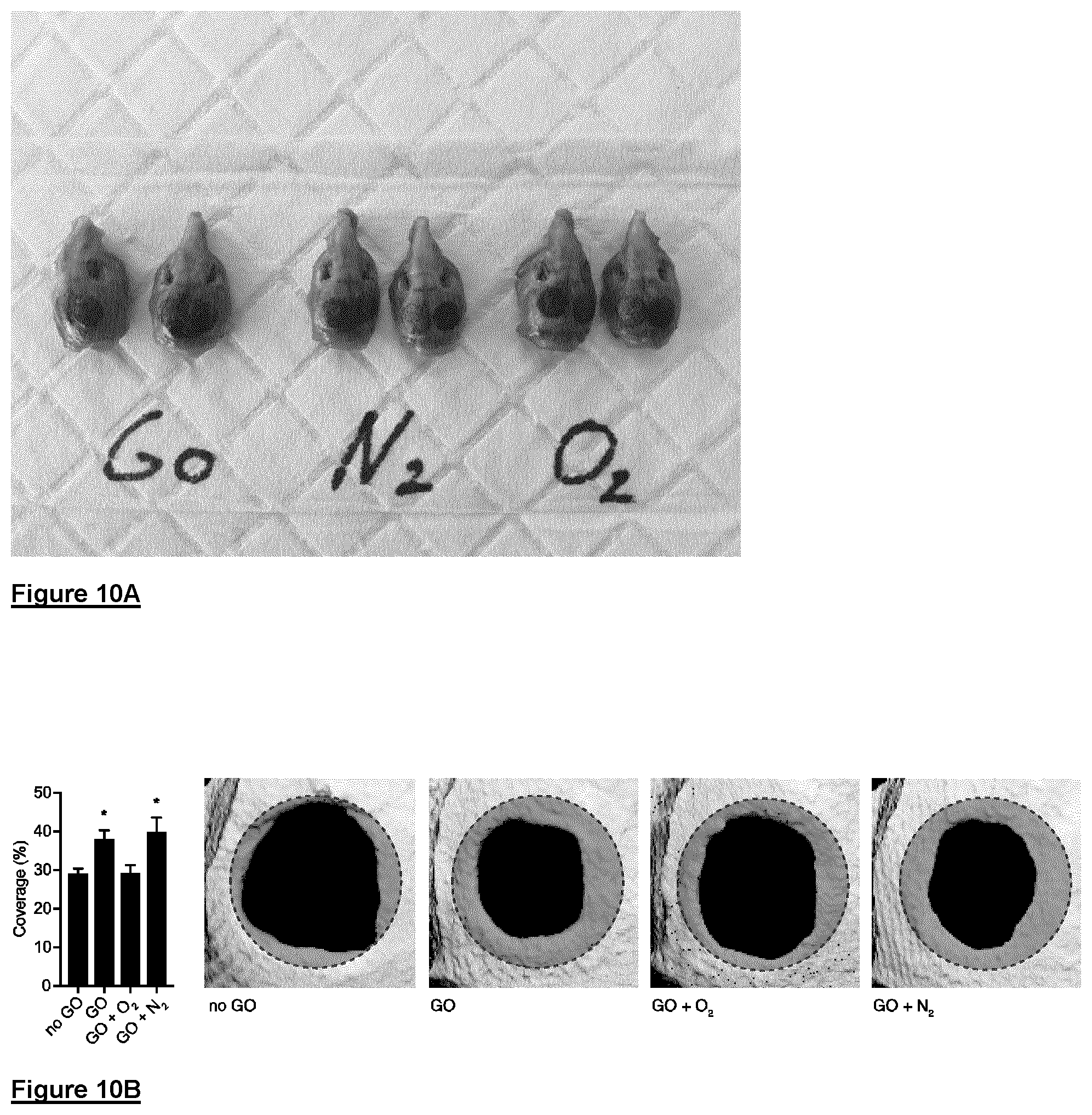 Patent US12590003 Figure 9 – Graphene oxide material and method for the production thereof