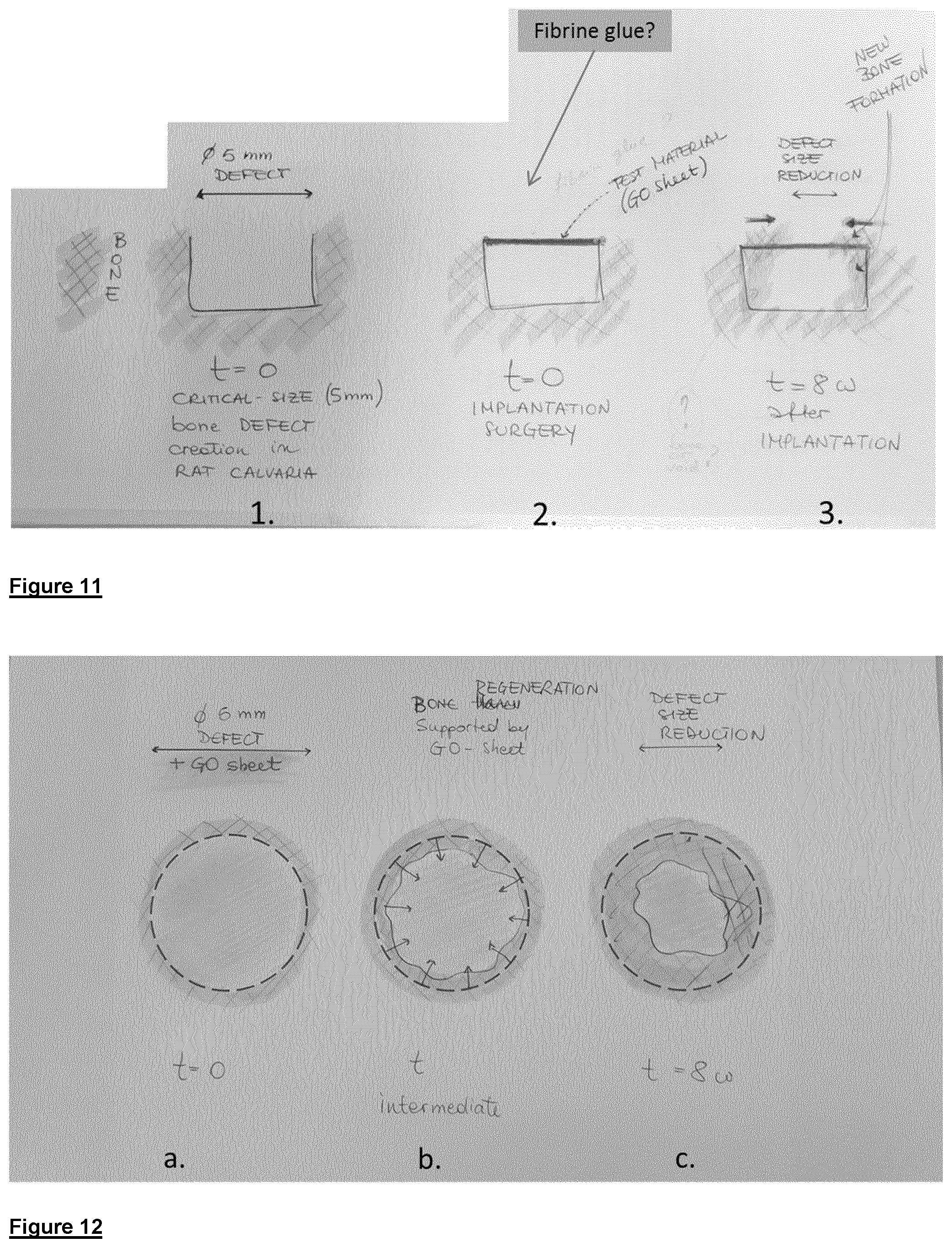 Patent US12590003 Figure 10 – Graphene oxide material and method for the production thereof