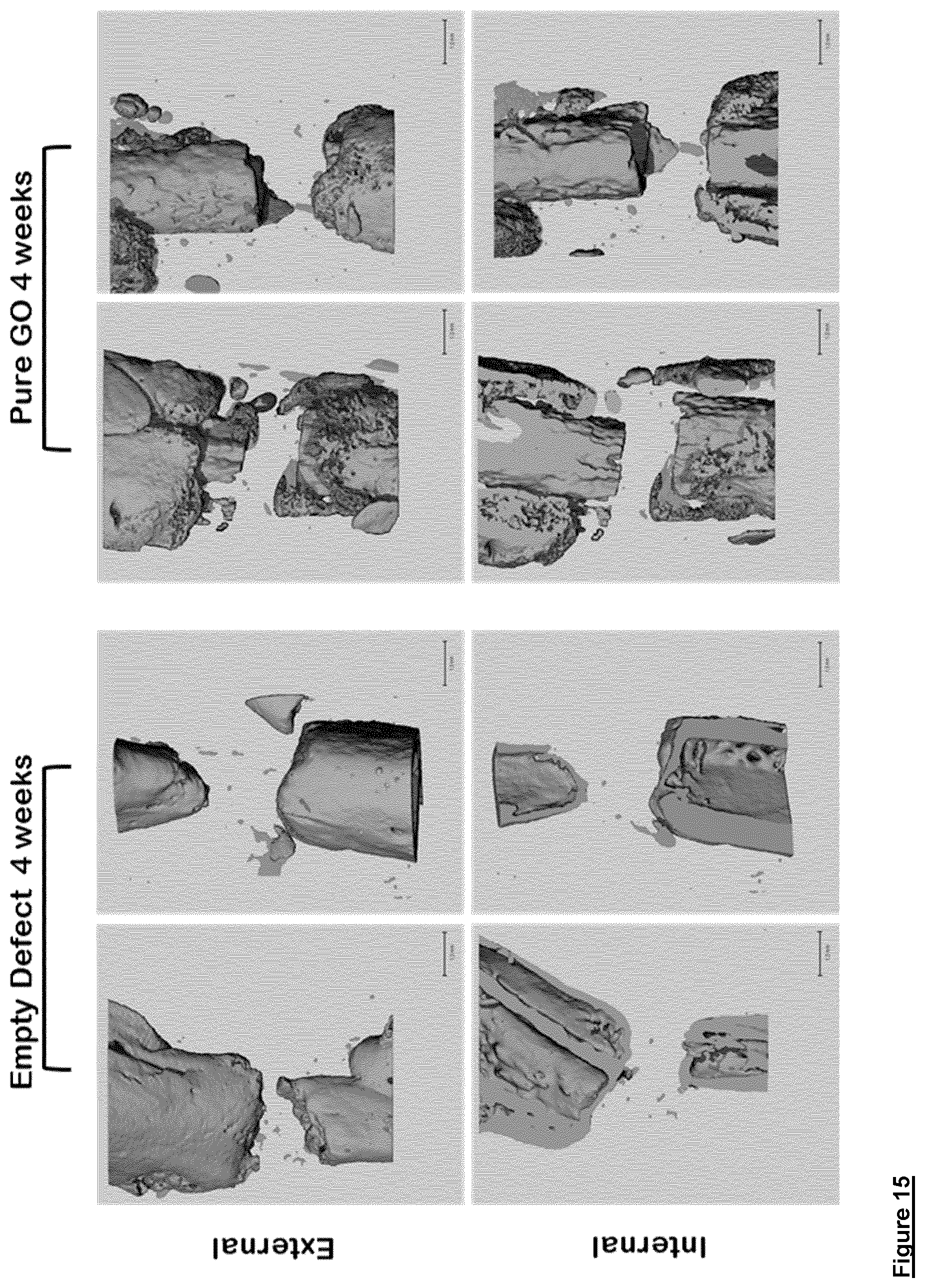 Patent US12590003 Figure 14 – Graphene oxide material and method for the production thereof