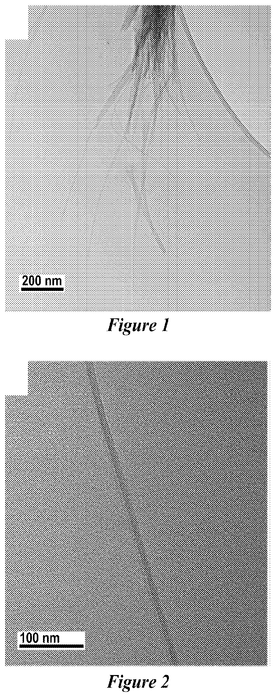 Patent US12590007 Figure 1 – Zeolite nanotubes and methods of making and use thereof