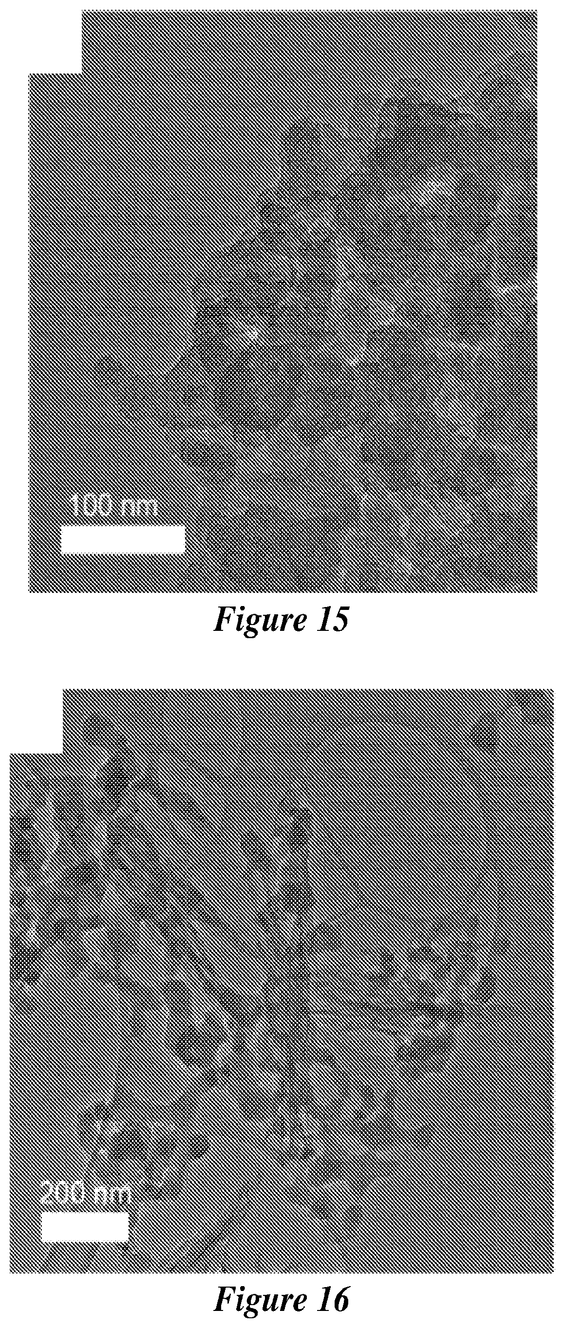 Patent US12590007 Figure 10 – Zeolite nanotubes and methods of making and use thereof