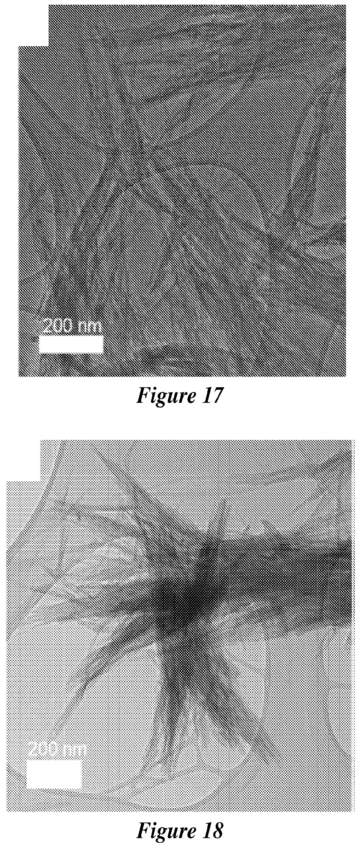 Patent US12590007 Figure 11 – Zeolite nanotubes and methods of making and use thereof