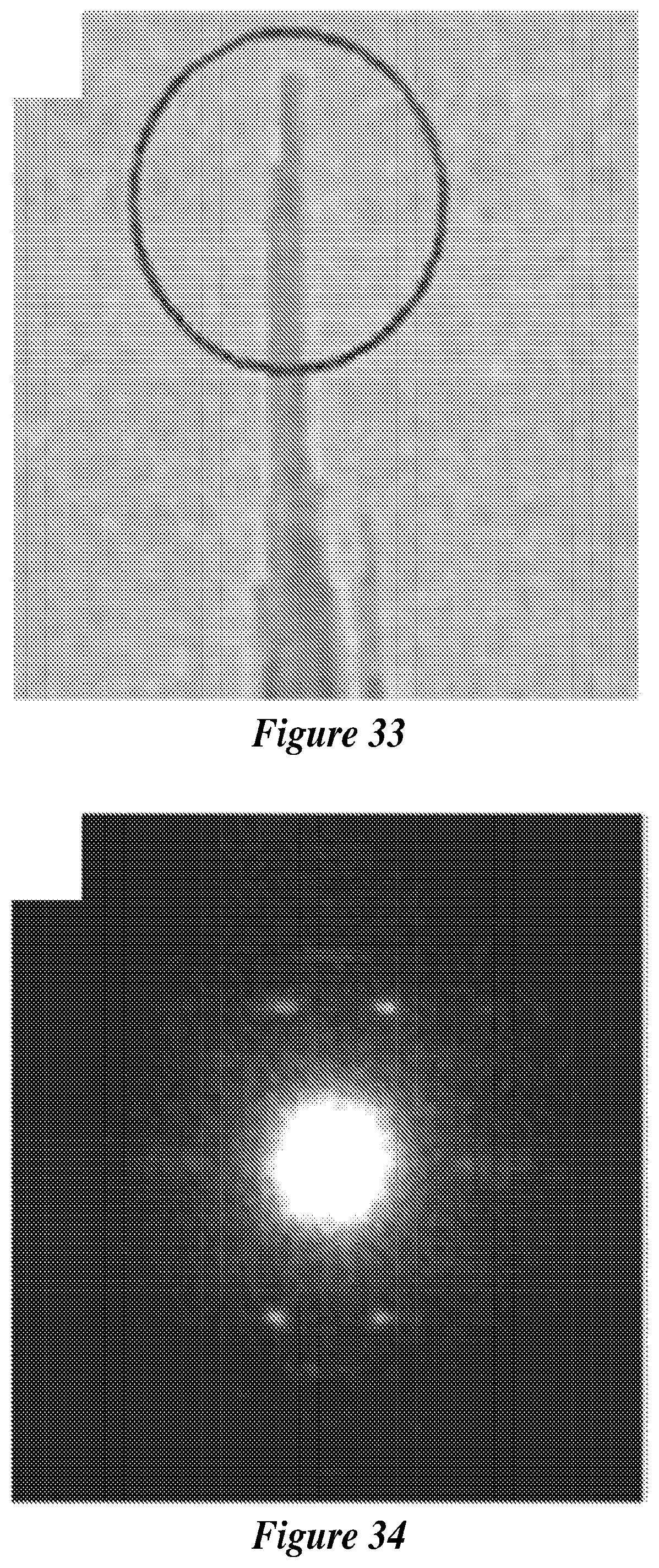 Patent US12590007 Figure 19 – Zeolite nanotubes and methods of making and use thereof