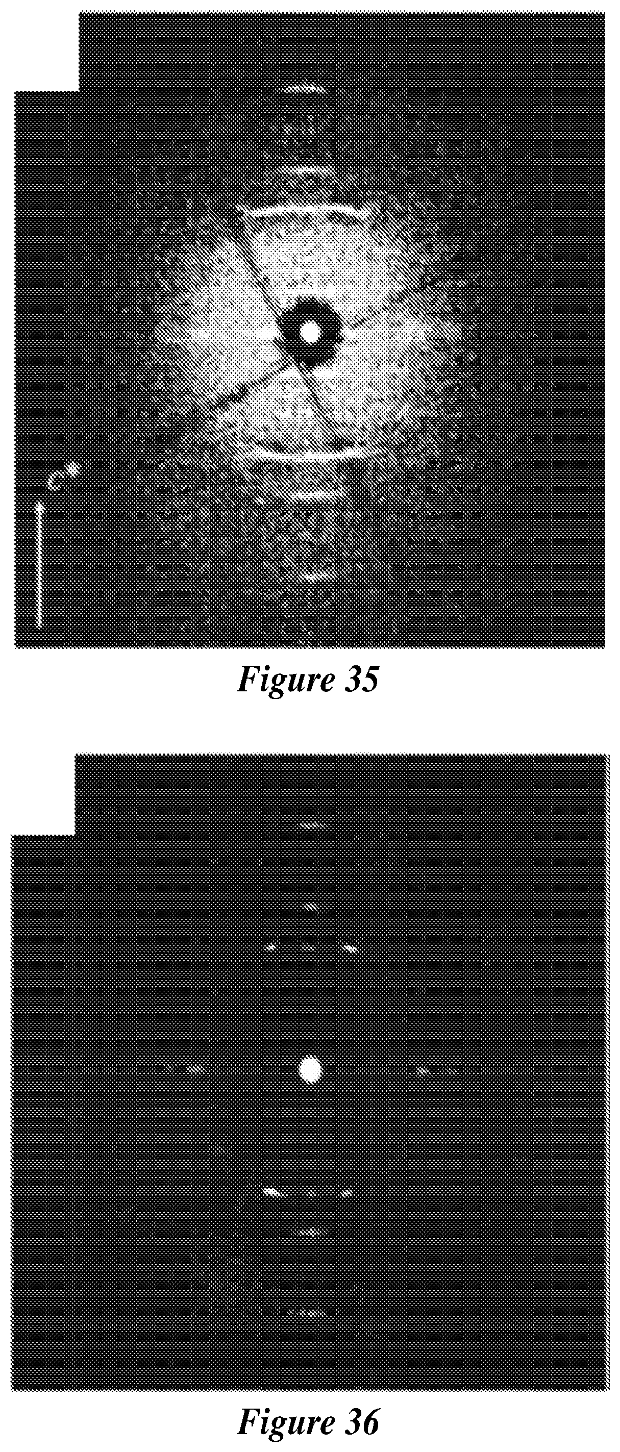 Patent US12590007 Figure 20 – Zeolite nanotubes and methods of making and use thereof