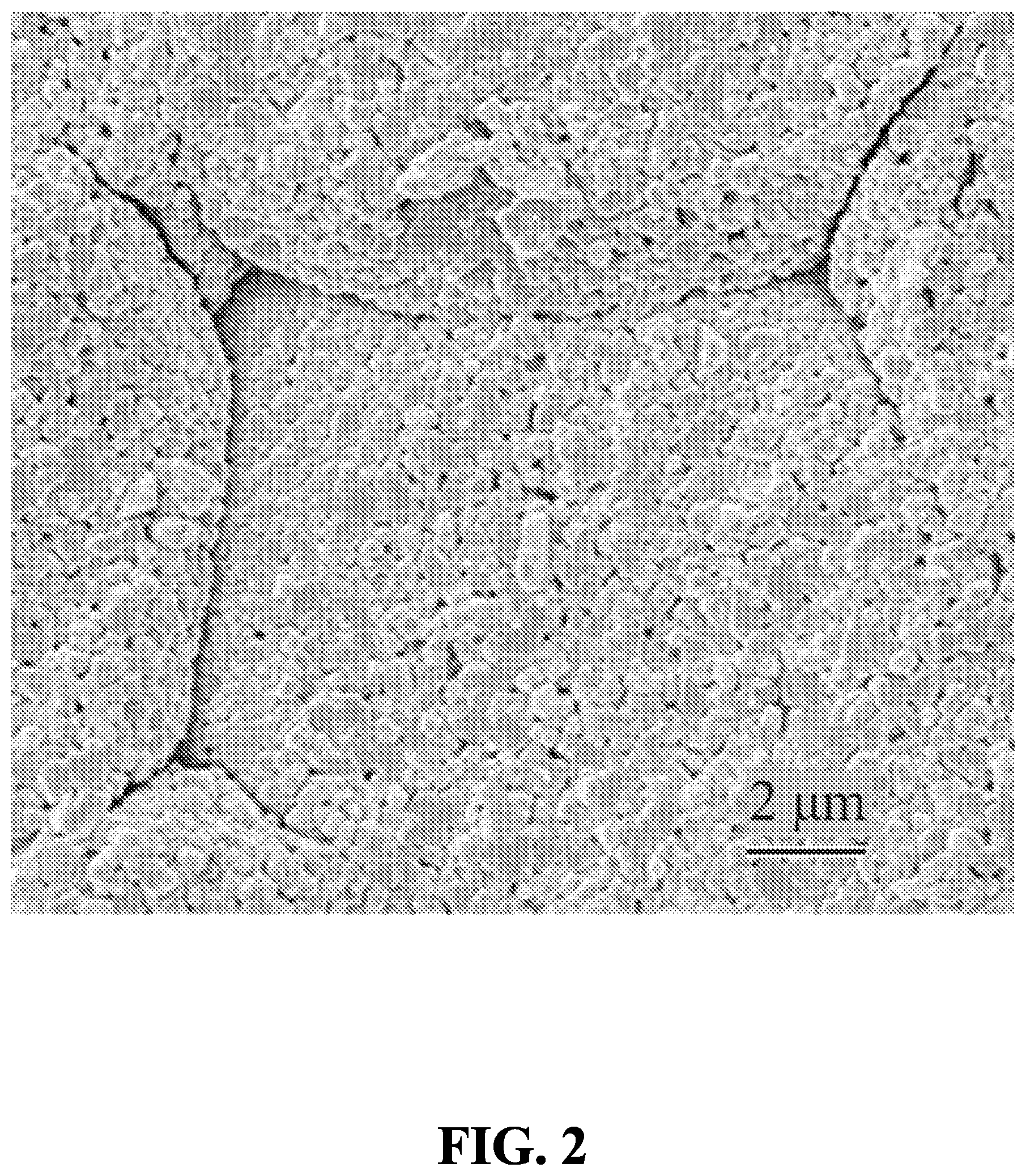 Patent US12590038 Figure 2 – Method for manufacturing transparent ceramic materials