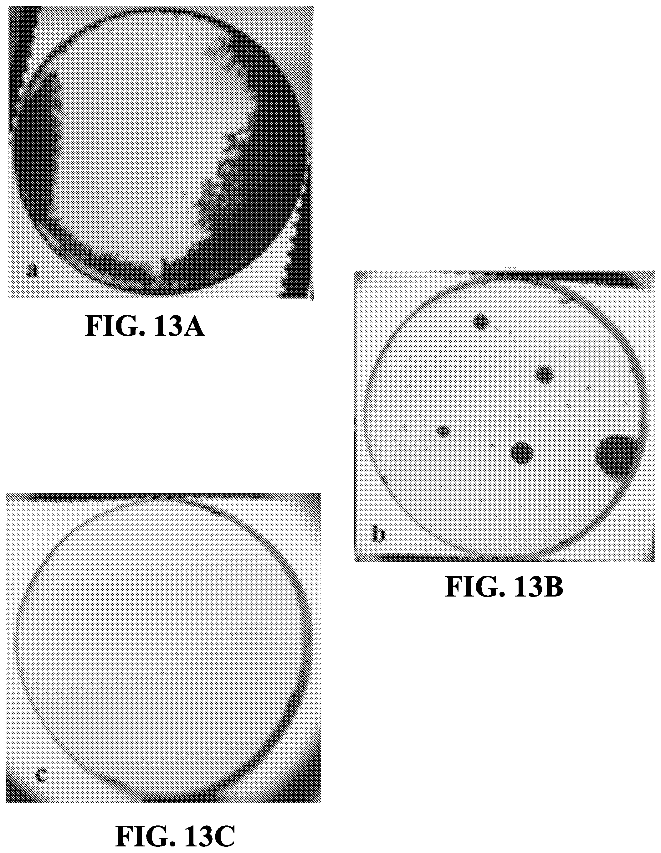 Patent US12590038 Figure 13 – Method for manufacturing transparent ceramic materials