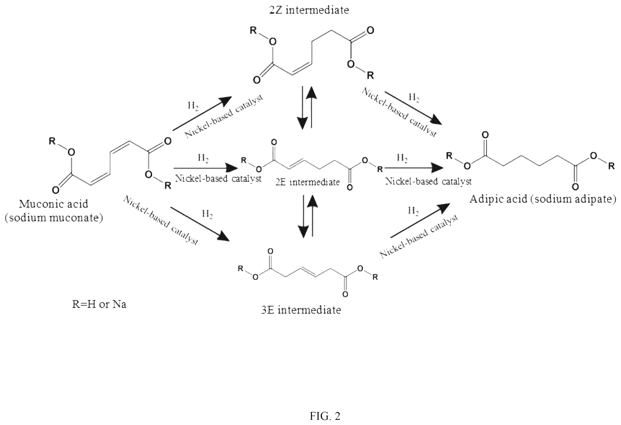 Patent US12590050 Figure 2 – Preparation method of biobased adipic acid