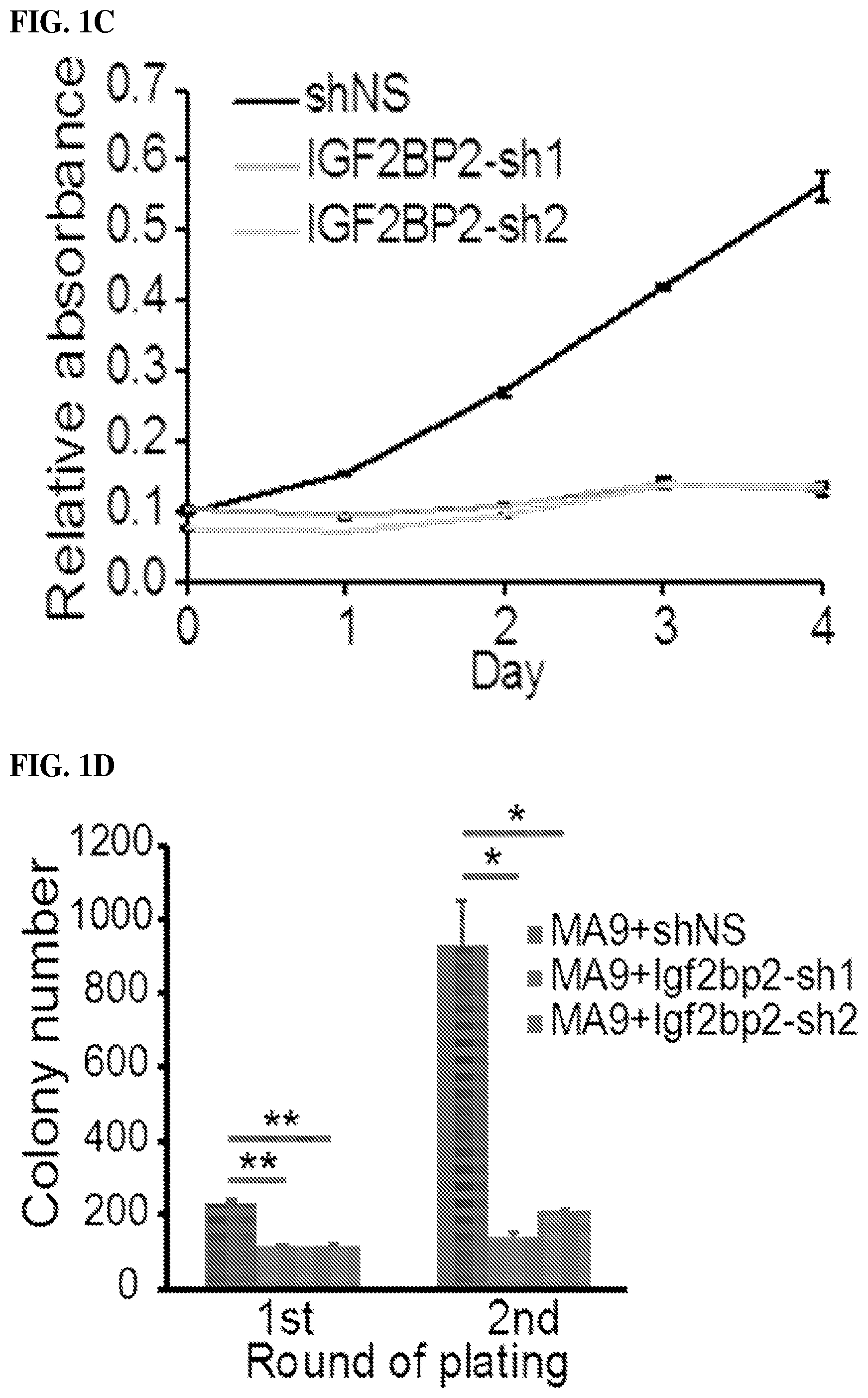 Patent US12590056 Figure 2 – IGF2BP2 inhibitors and uses thereof