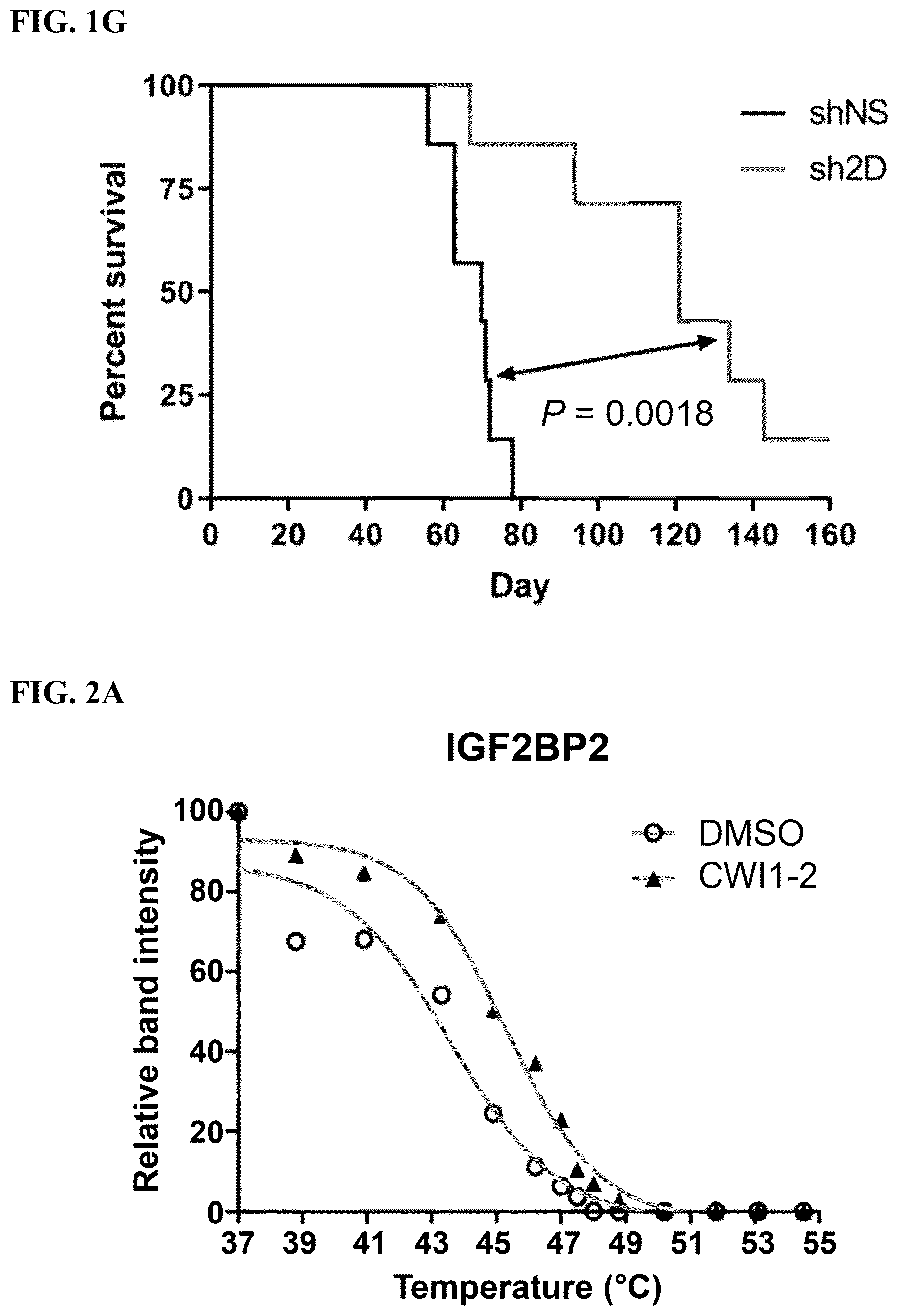 Patent US12590056 Figure 4 – IGF2BP2 inhibitors and uses thereof