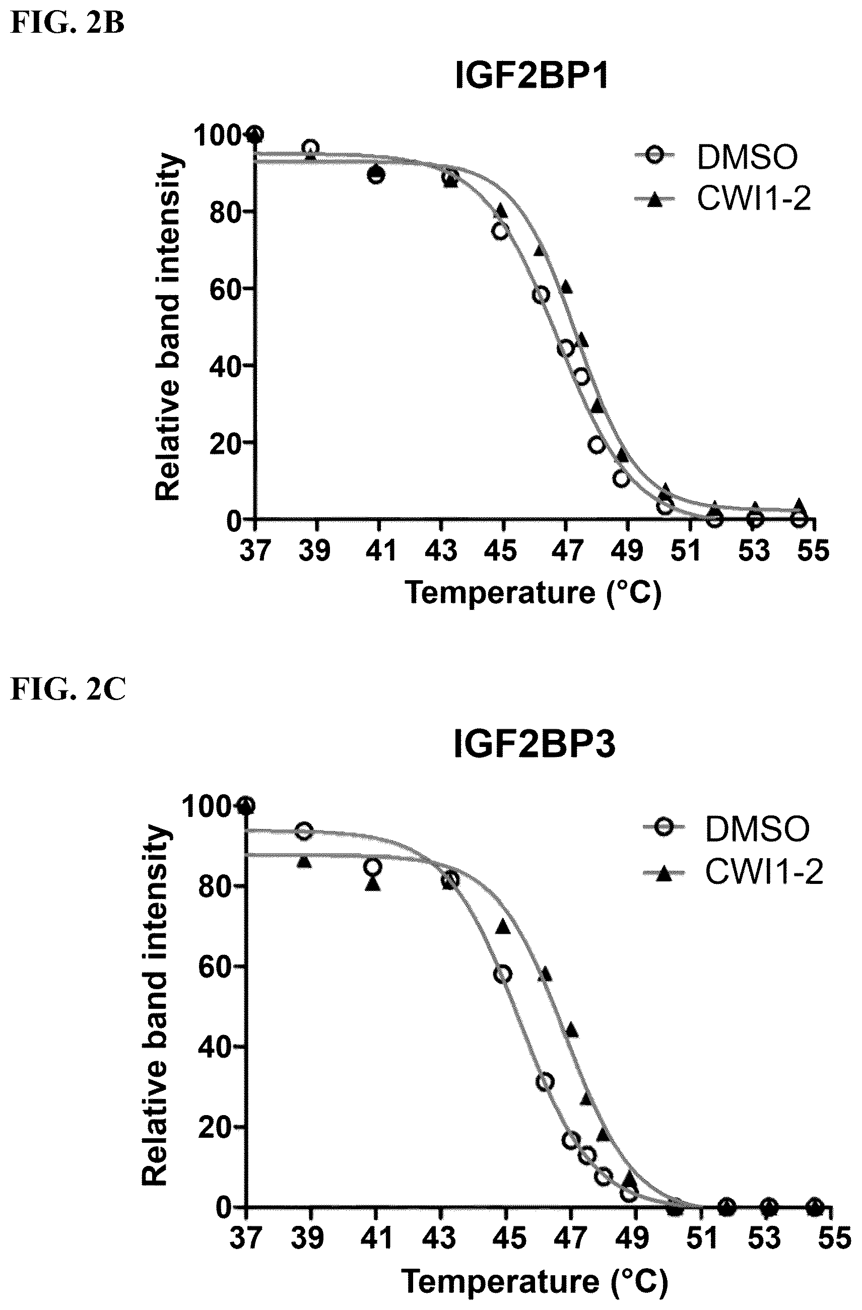 Patent US12590056 Figure 5 – IGF2BP2 inhibitors and uses thereof