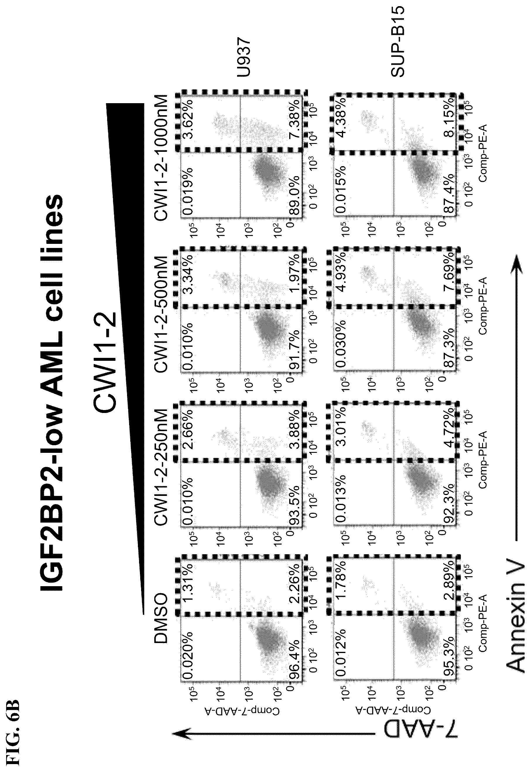 Patent US12590056 Figure 12 – IGF2BP2 inhibitors and uses thereof