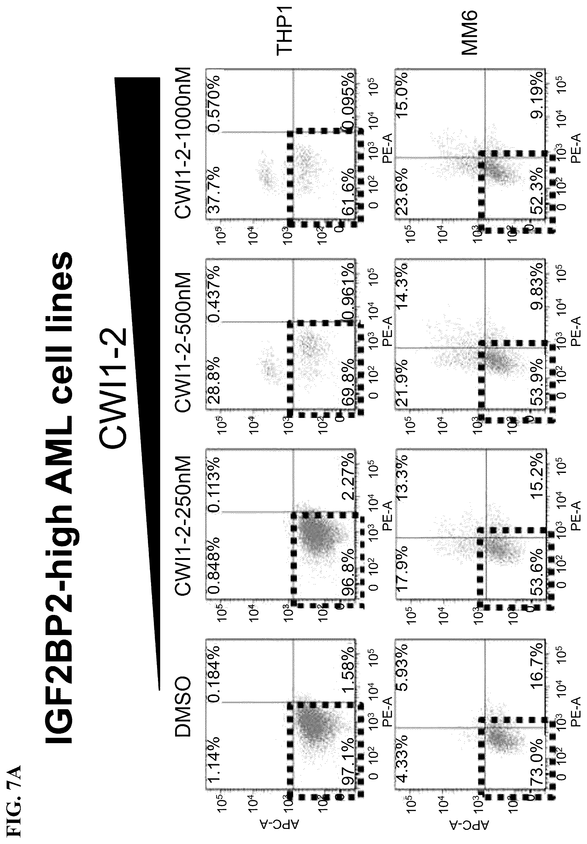 Patent US12590056 Figure 13 – IGF2BP2 inhibitors and uses thereof