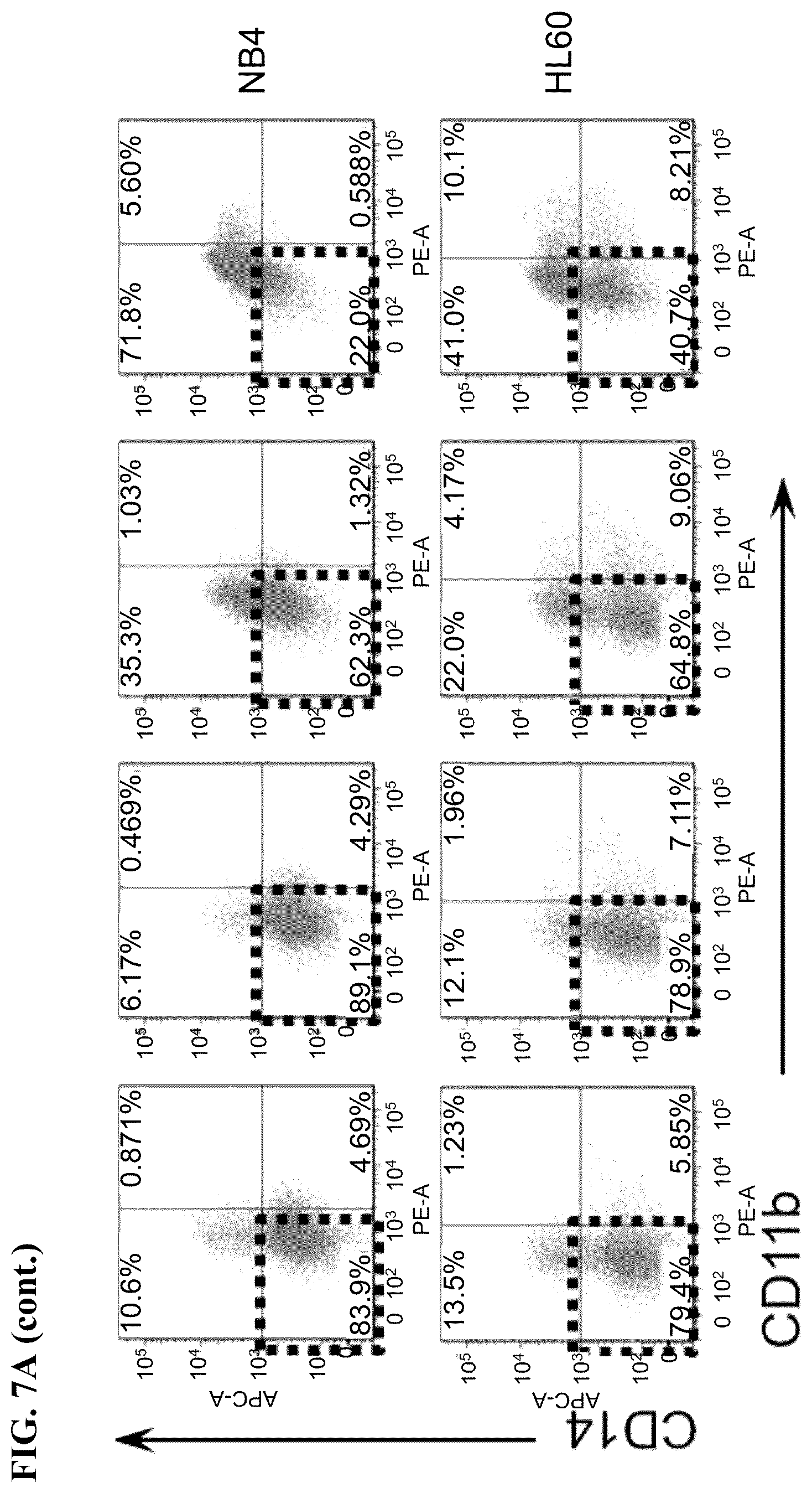 Patent US12590056 Figure 14 – IGF2BP2 inhibitors and uses thereof