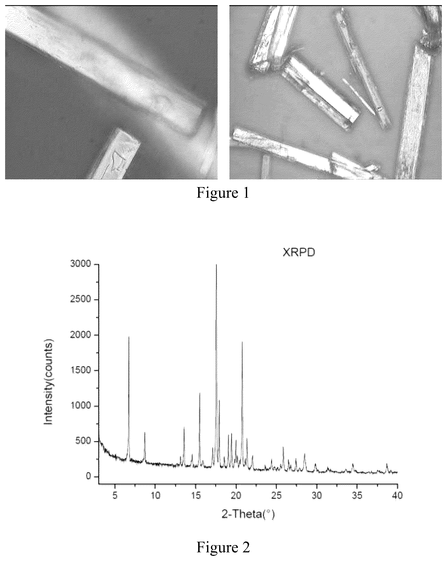 Patent US12590061 — Crystalline form of acetylcholinesterase inhibitor and preparation method therefor and application thereof — Figure 1