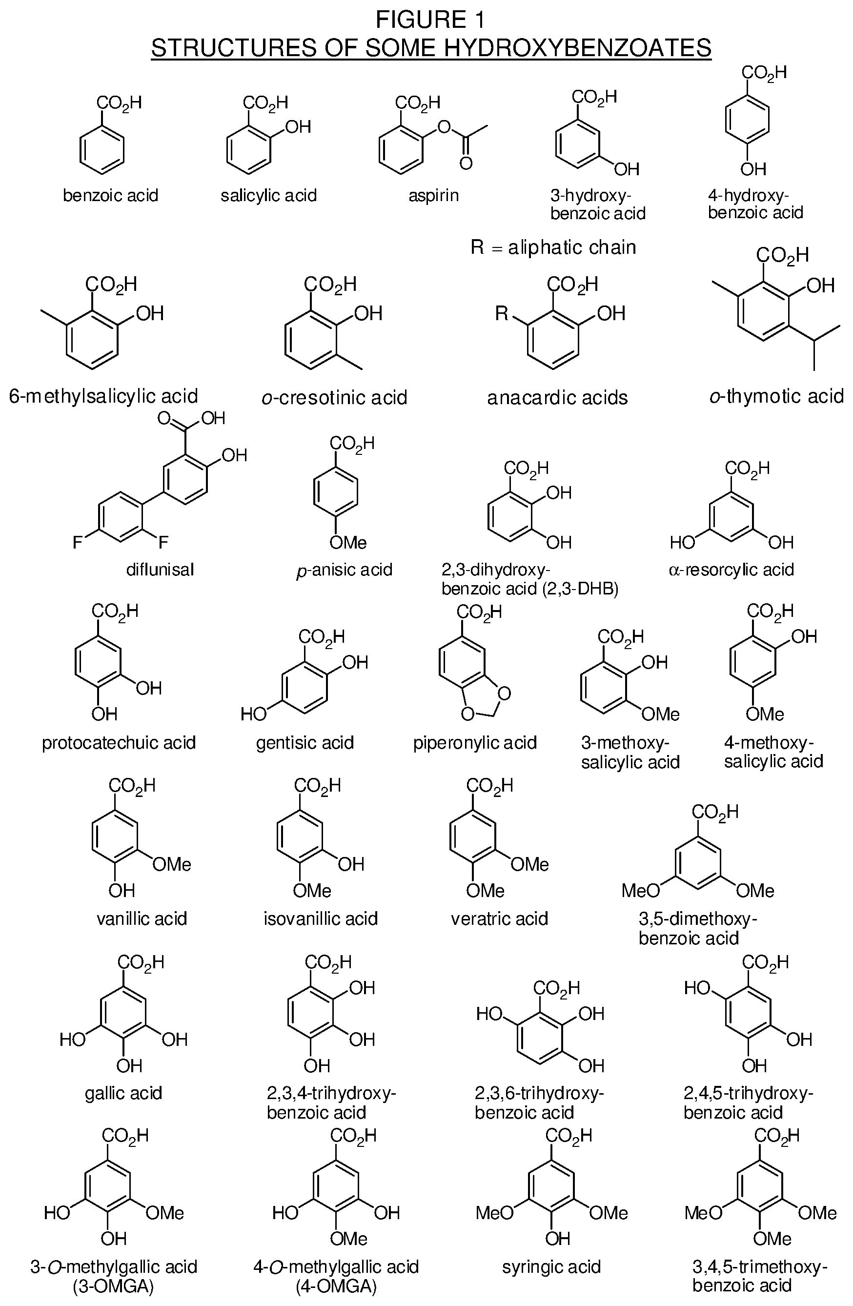 Patent US12590065 Figure 1 – Levorphanol prodrugs and processes for making and using them