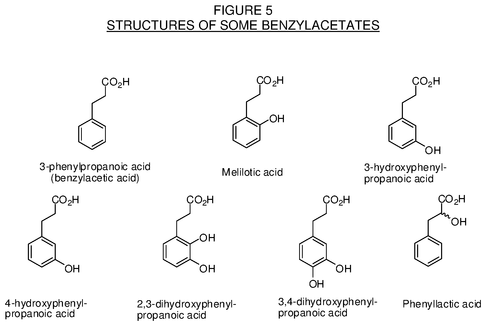 Patent US12590065 Figure 5 – Levorphanol prodrugs and processes for making and using them