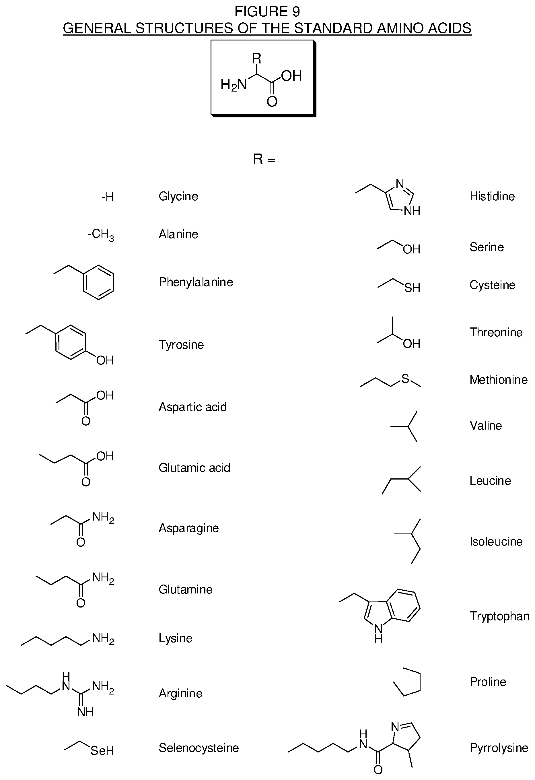 Patent US12590065 Figure 9 – Levorphanol prodrugs and processes for making and using them