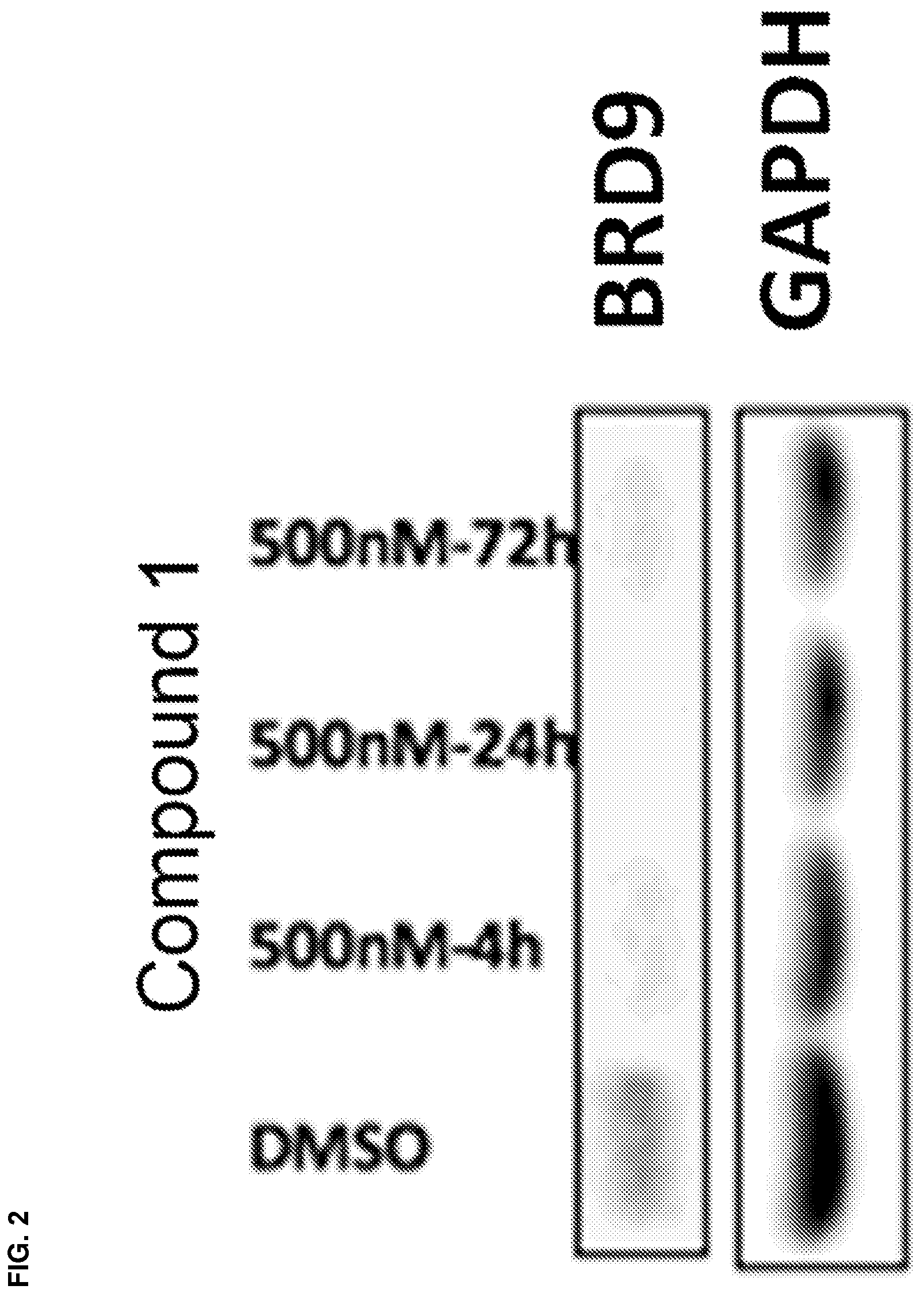 Patent US12590079 Figure 2 – Compounds and uses thereof