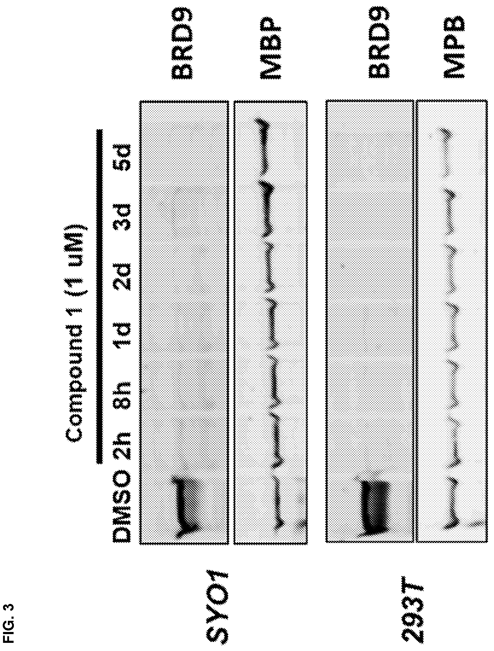 Patent US12590079 Figure 3 – Compounds and uses thereof