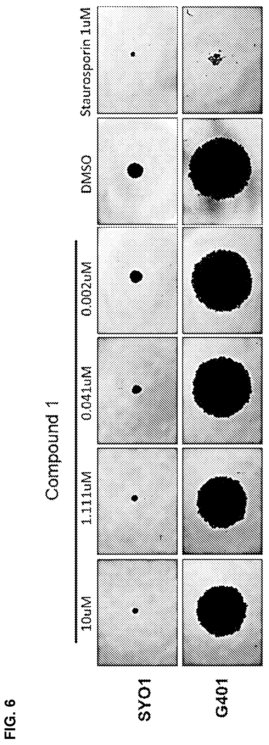 Patent US12590079 Figure 6 – Compounds and uses thereof