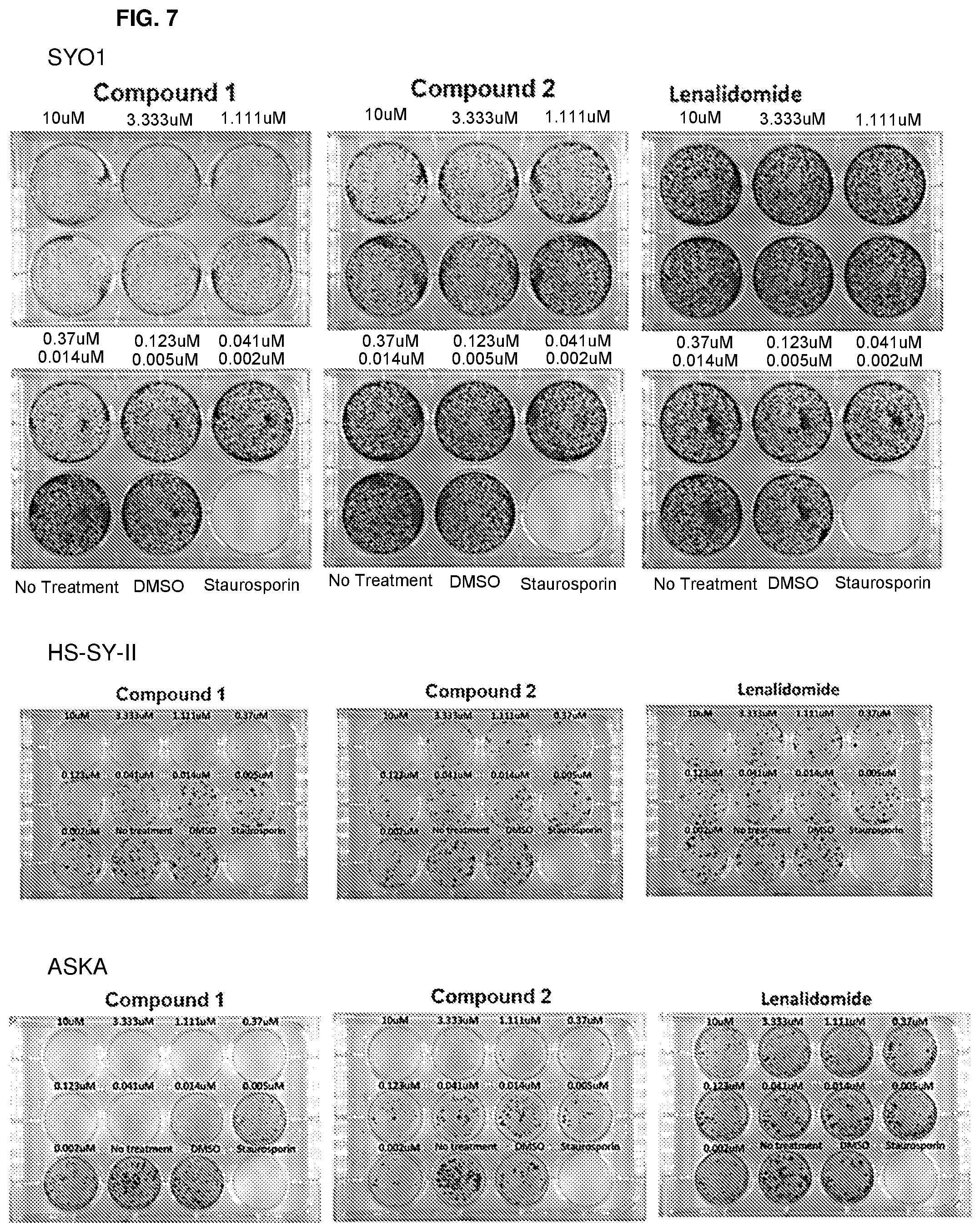 Patent US12590079 Figure 7 – Compounds and uses thereof