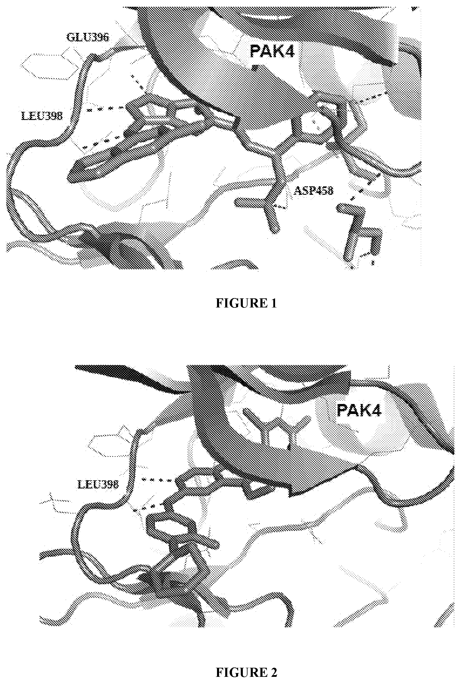 Patent US12590080 Figure 1 – Compounds