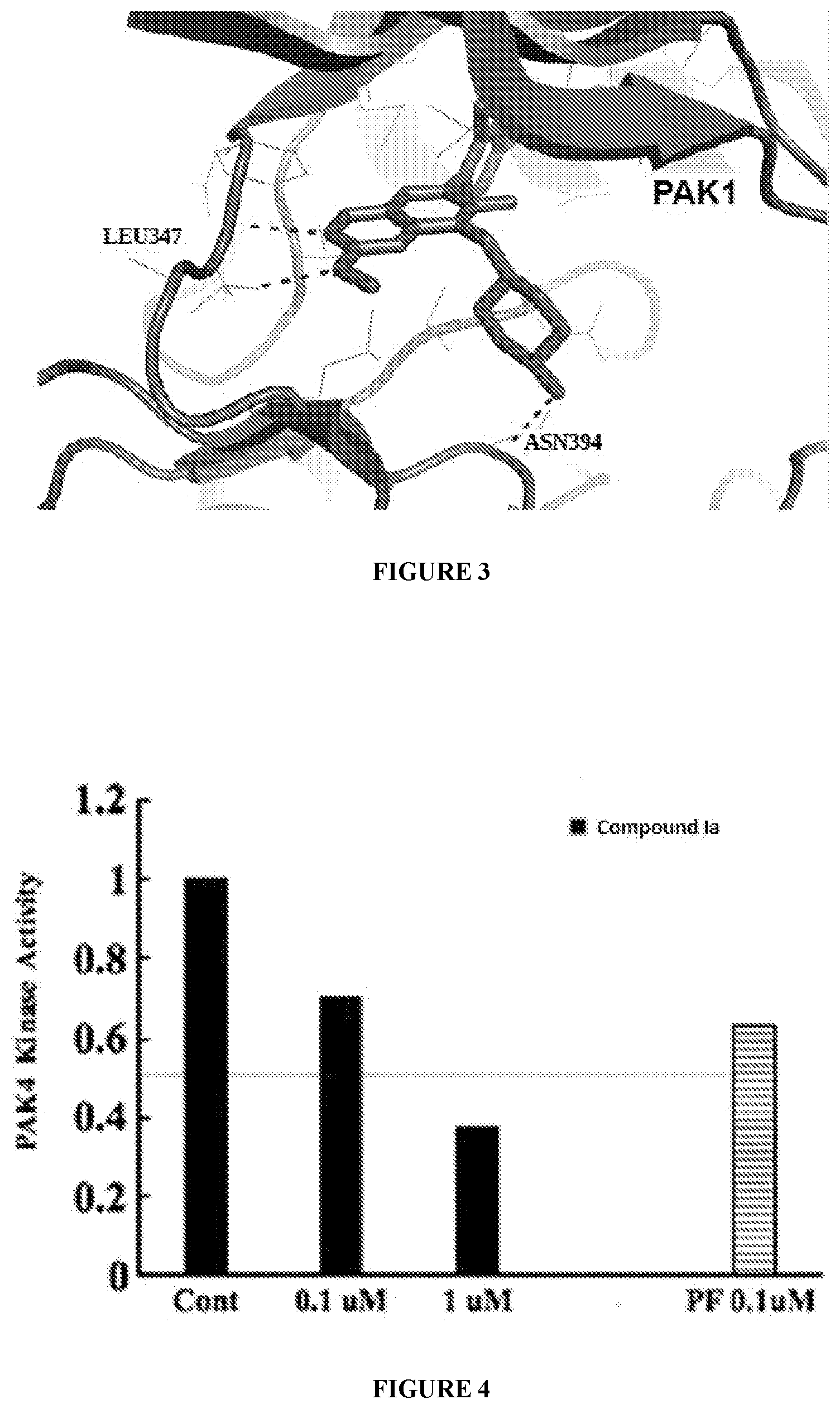 Patent US12590080 Figure 2 – Compounds