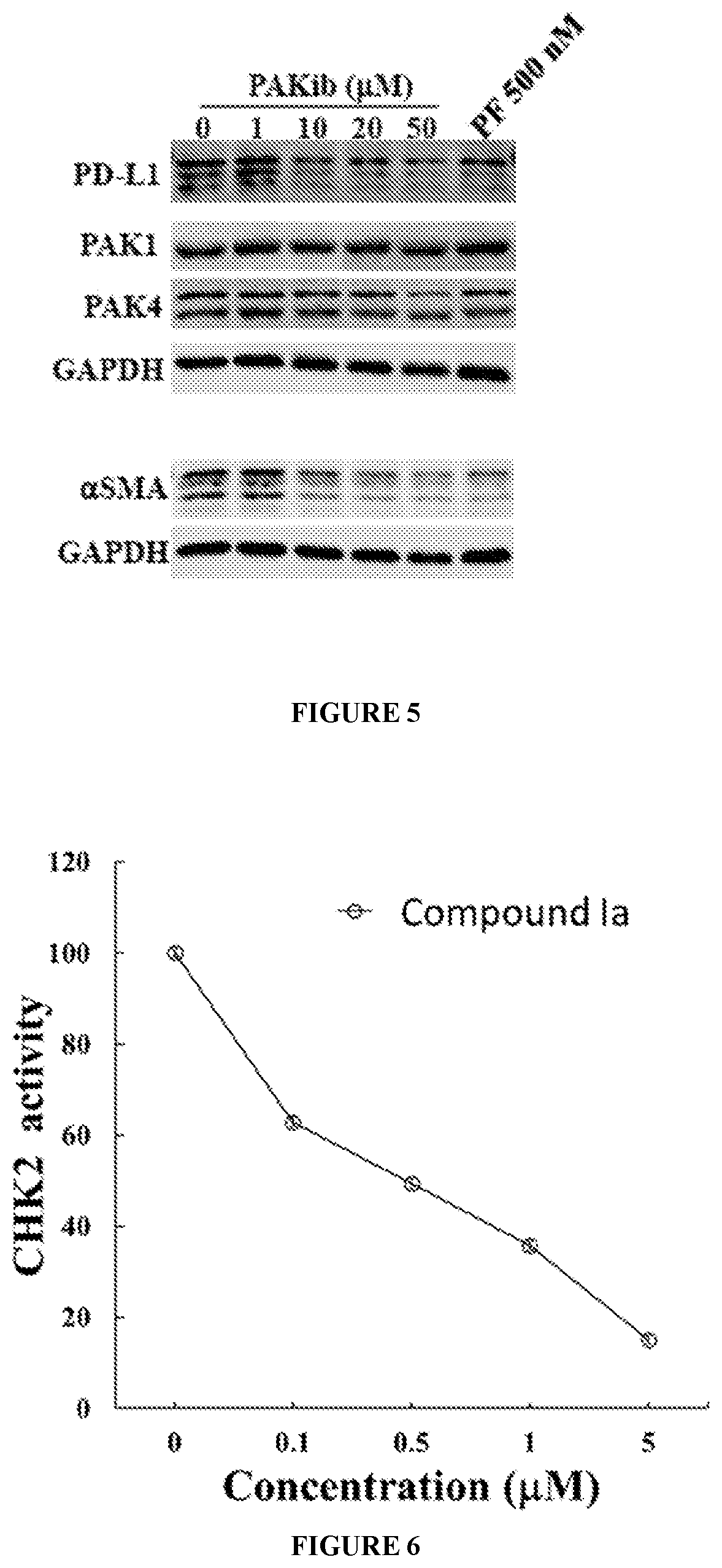 Patent US12590080 Figure 3 – Compounds